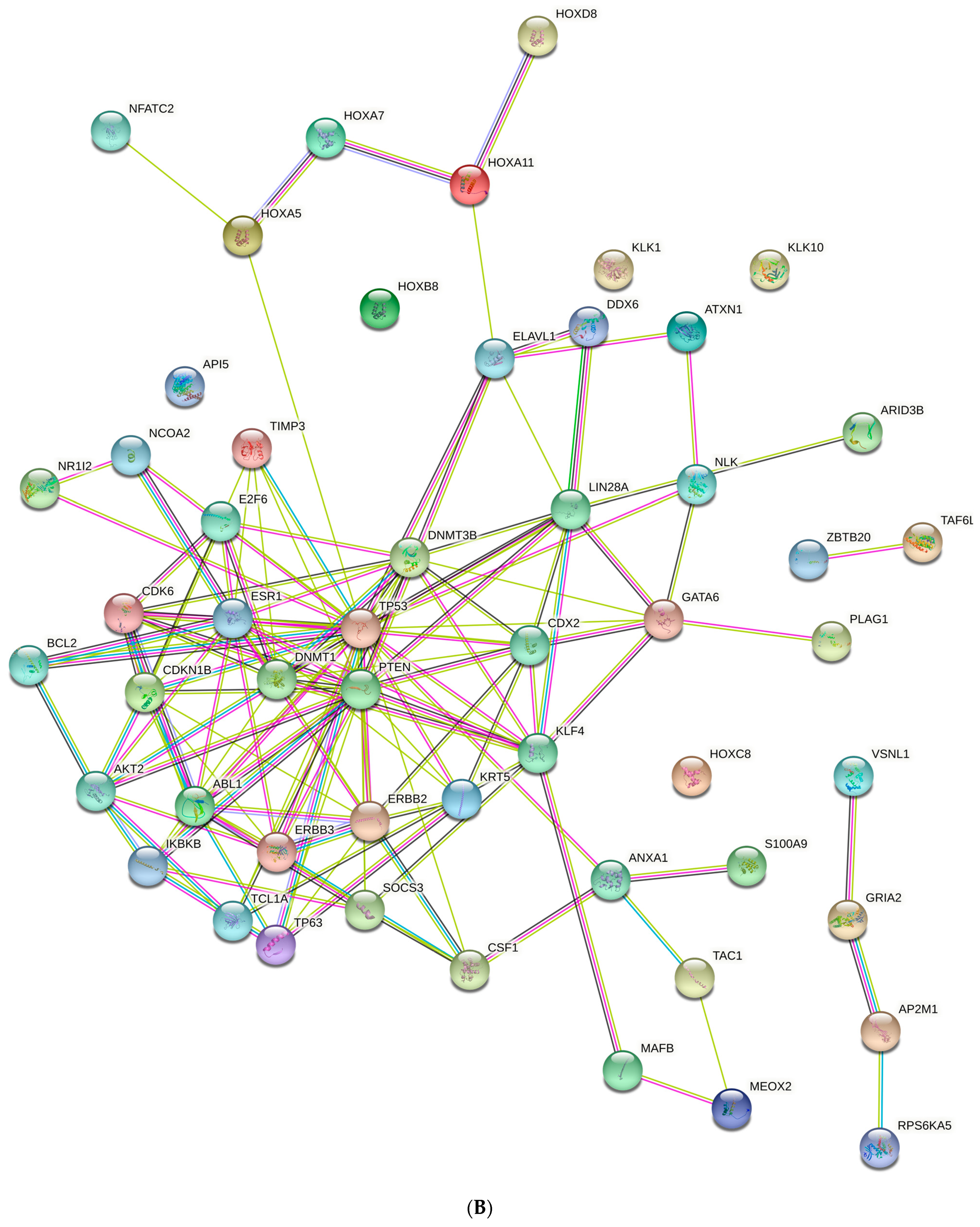 Animals 13 01520 g002b Animals 13 01520 g002b