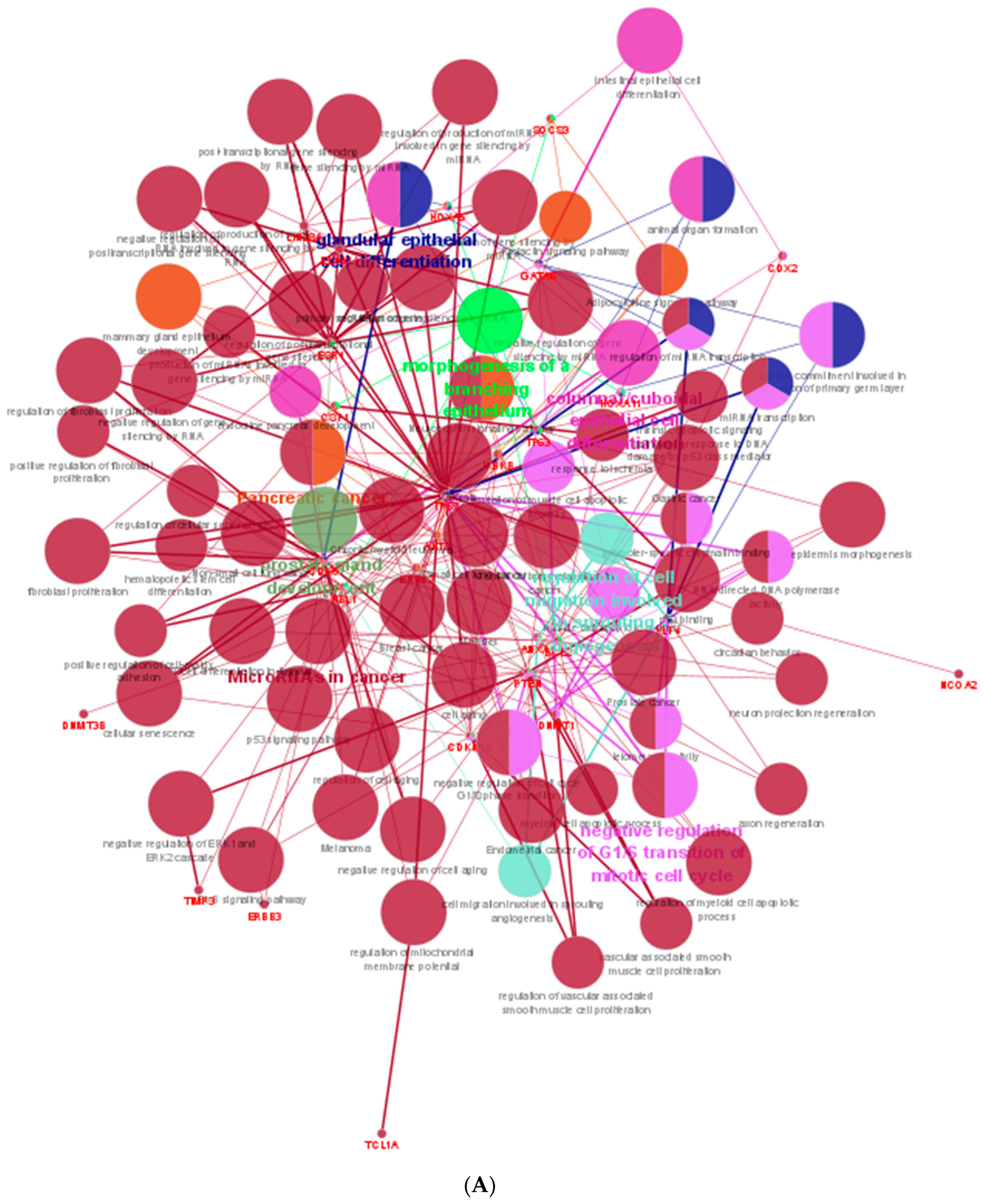 Animals 13 01520 g005a Animals 13 01520 g005a