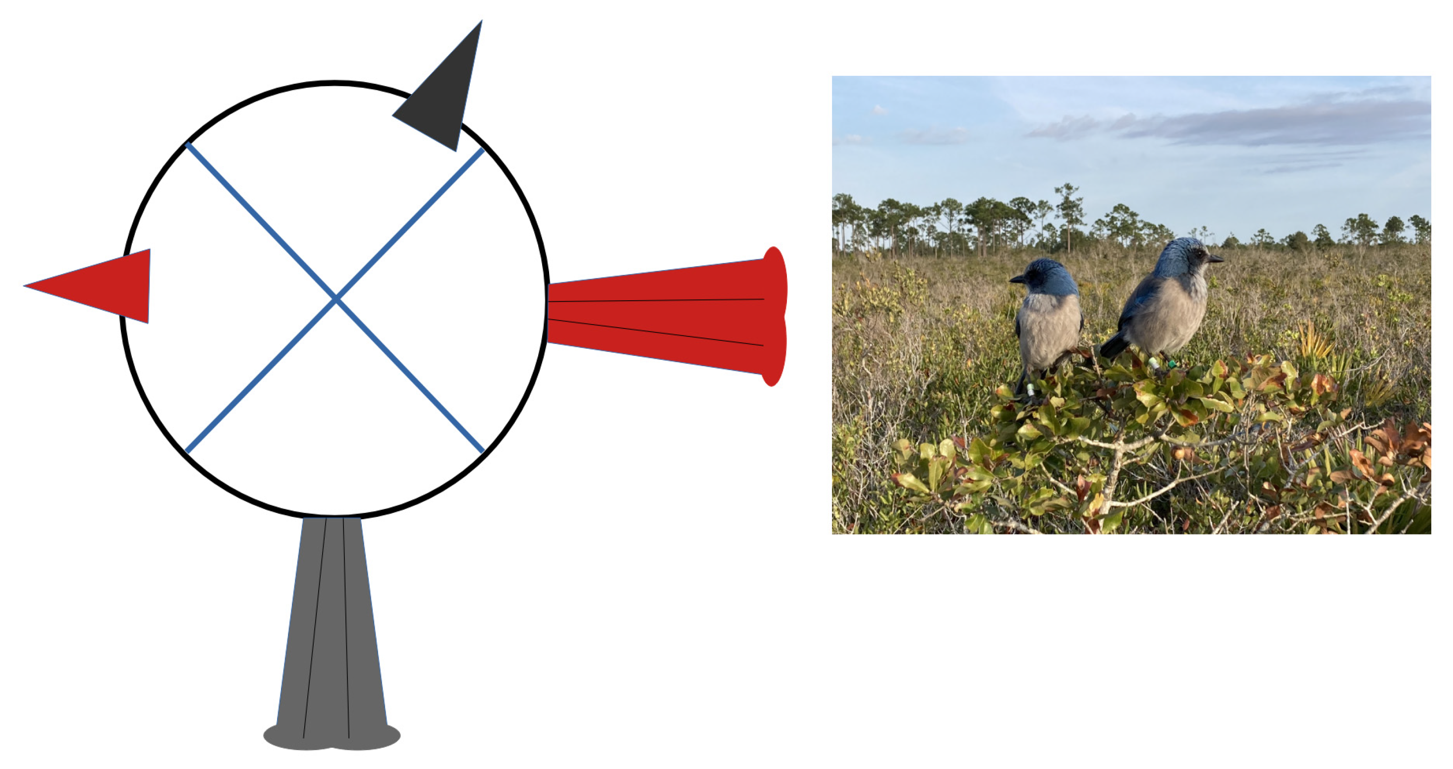 Animals 13 01524 g001