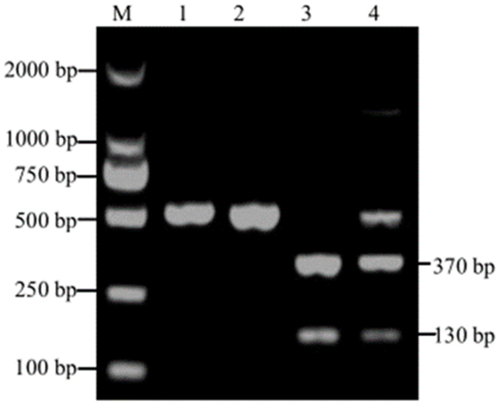 Animals 13 01527 g001