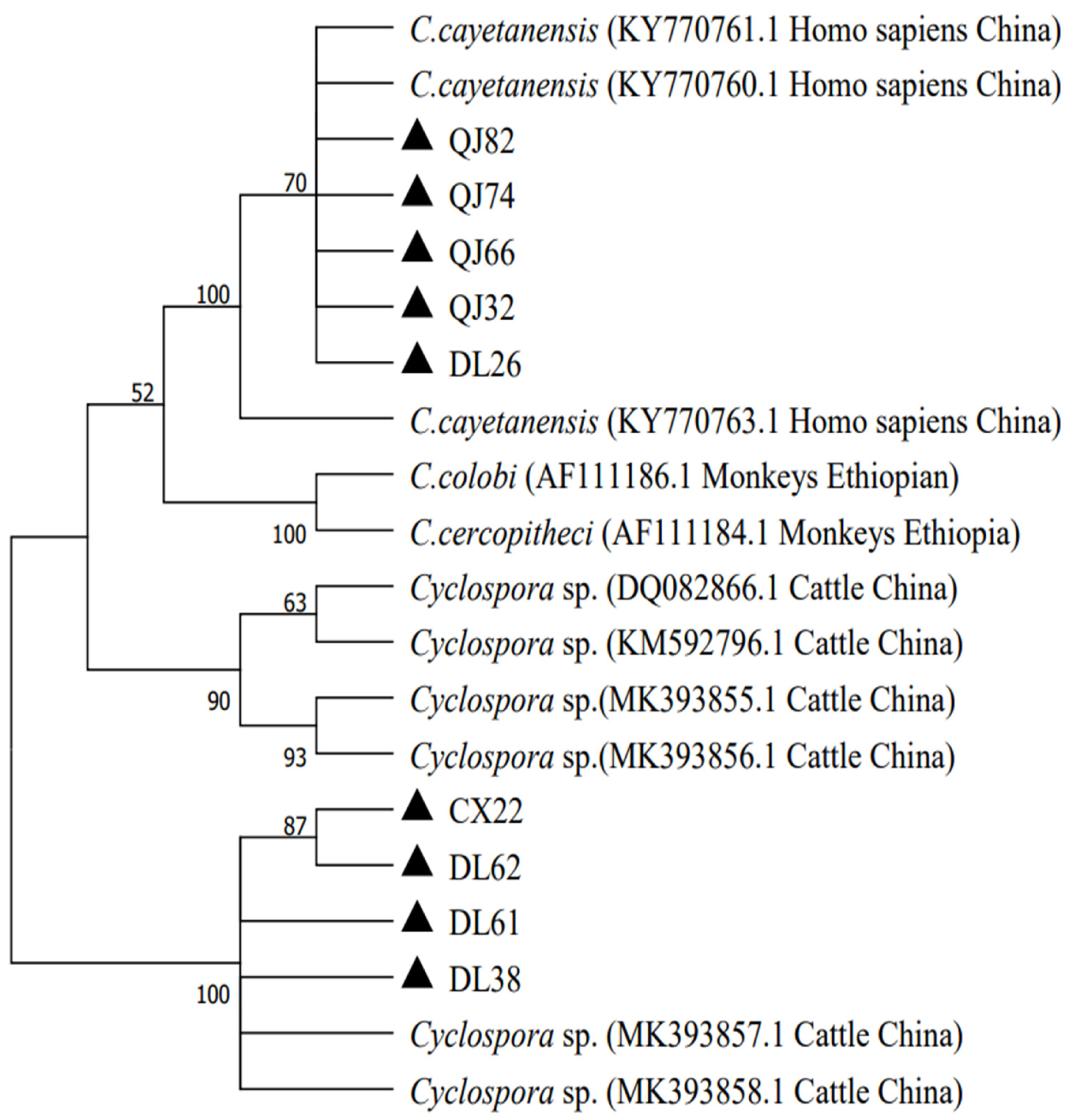 Animals 13 01527 g002