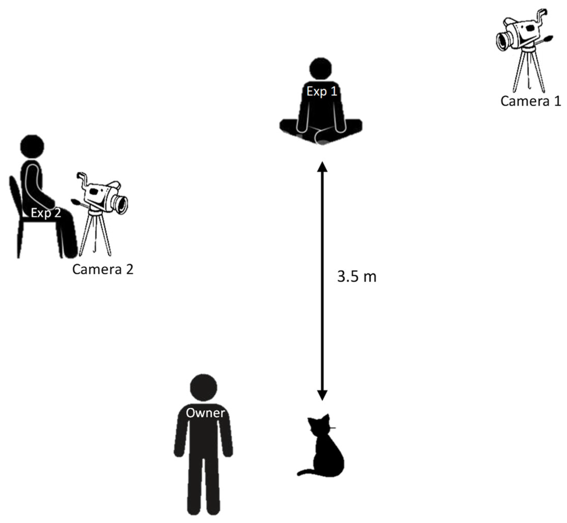 Animals Free FullText Multimodal Communication in the HumanCat
