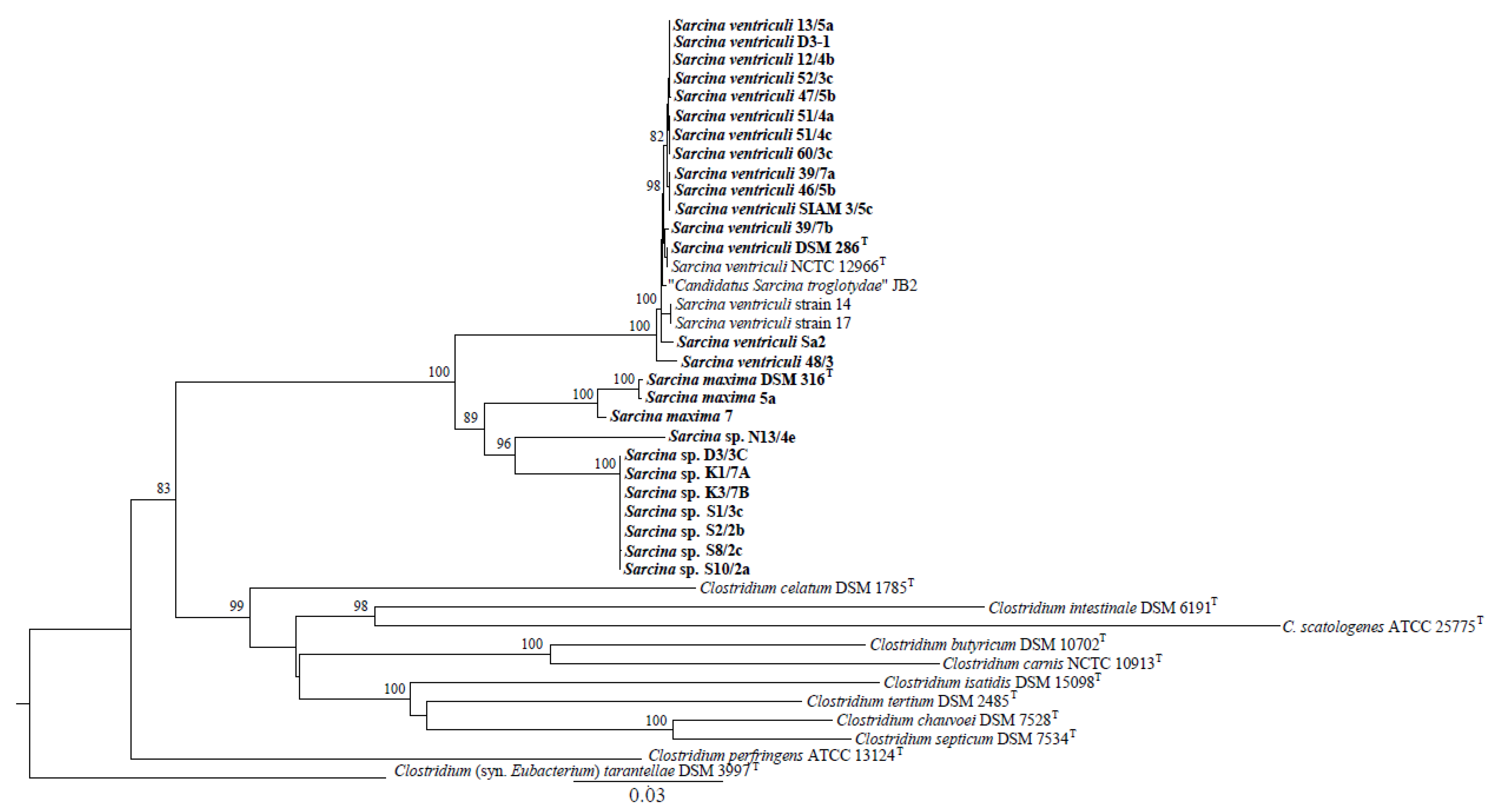 Animals 13 01529 g002 Animals 13 01529 g002