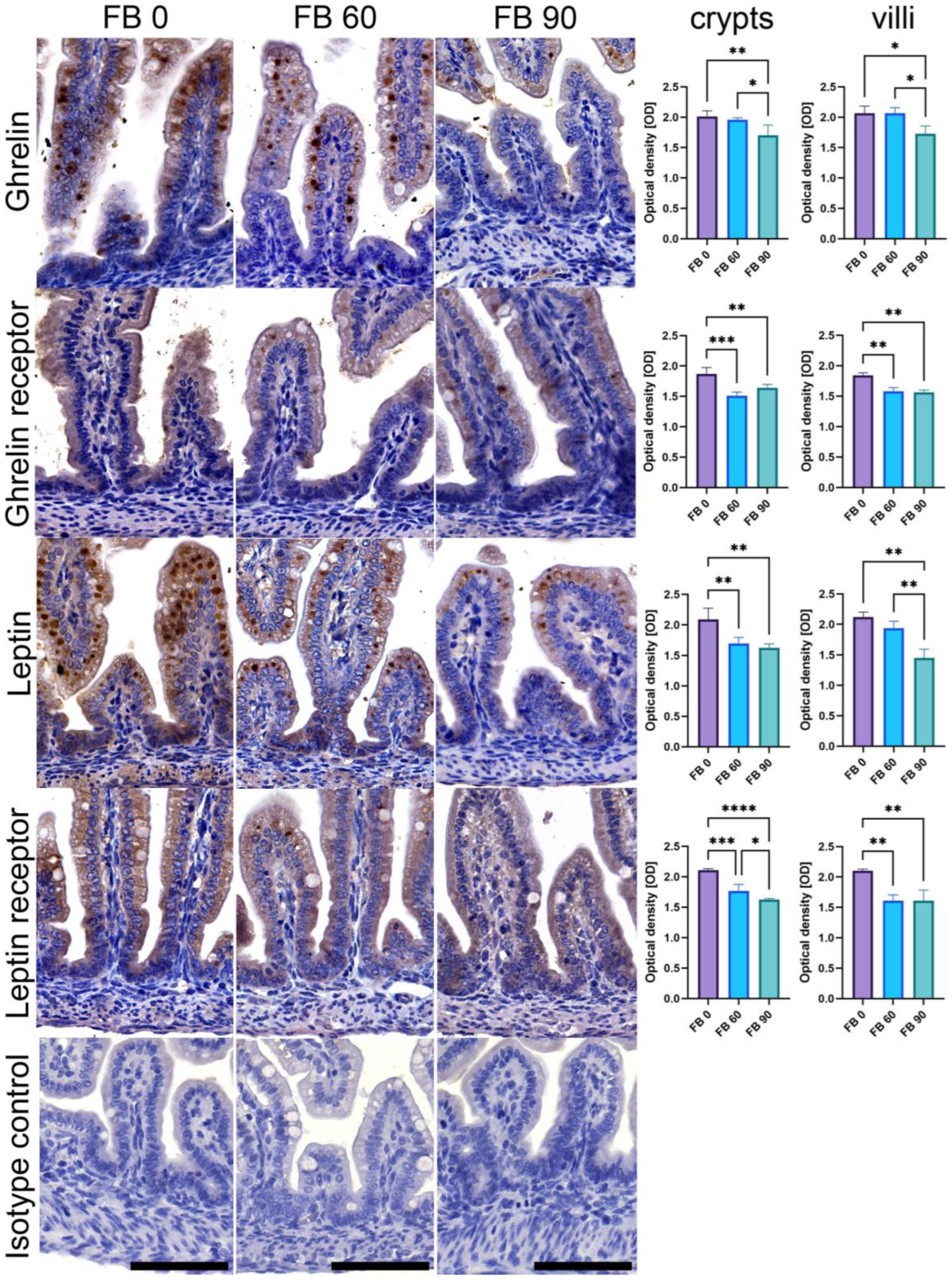 Animals 13 01538 g002 Animals 13 01538 g002