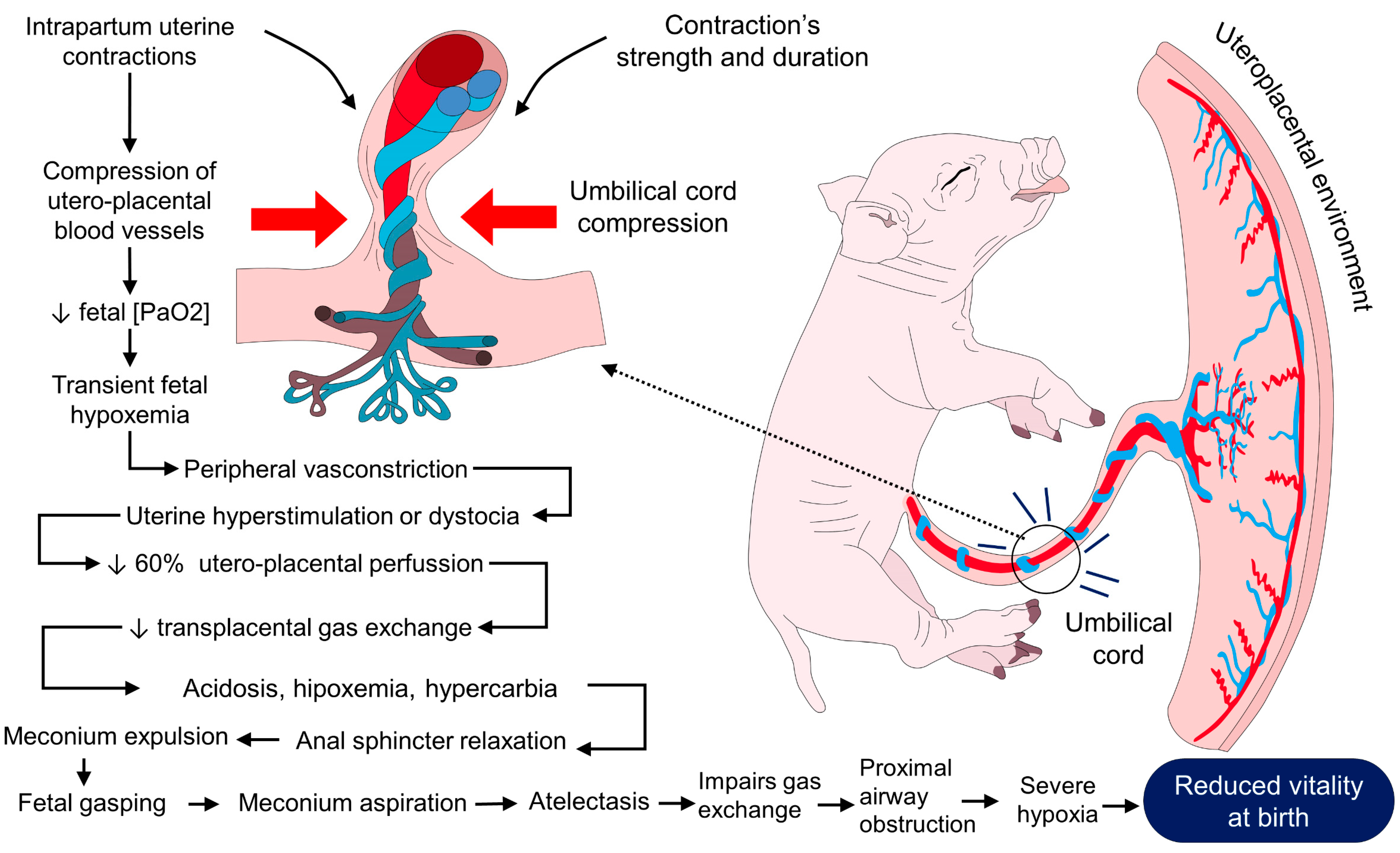 Animals 13 01542 g001 Animals 13 01542 g001