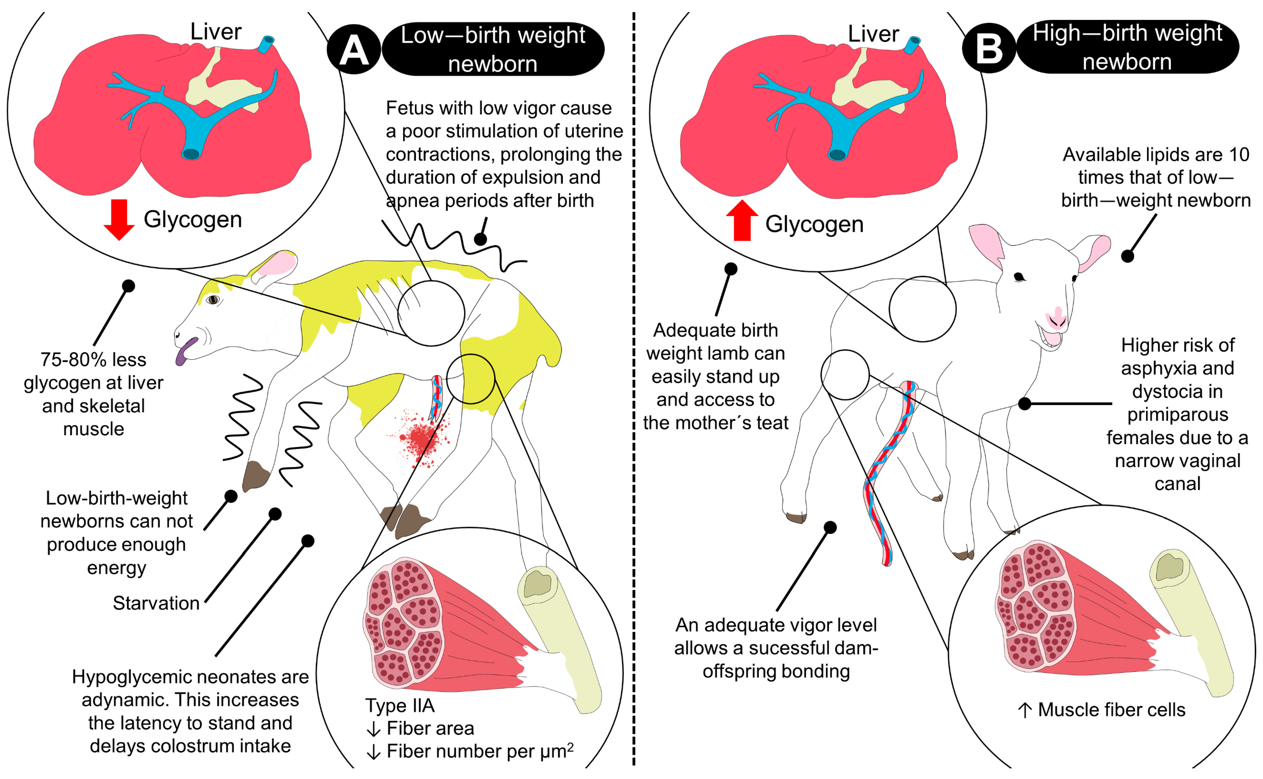 Animals 13 01542 g002 Animals 13 01542 g002