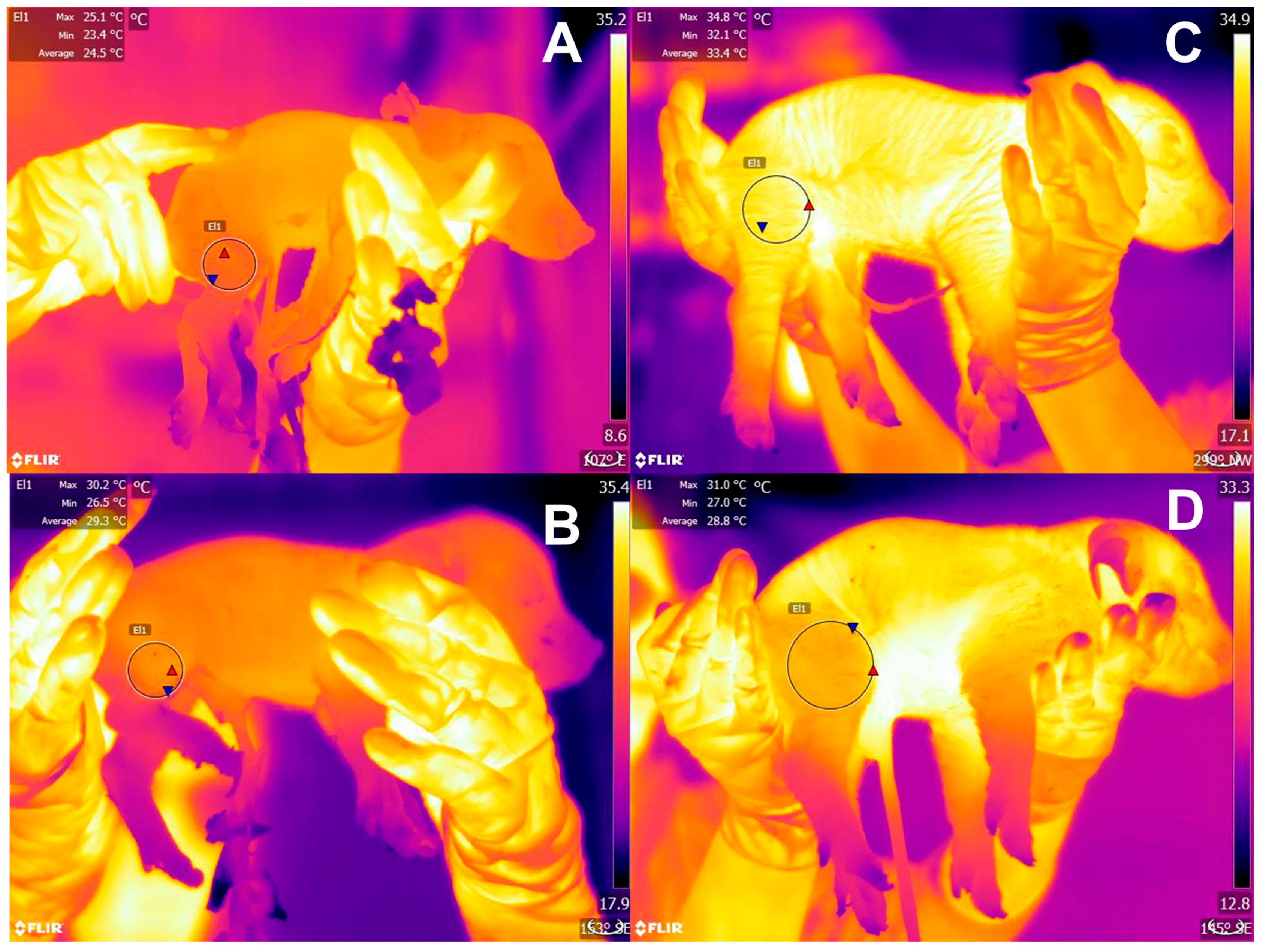 Animals 13 01542 g005 Animals 13 01542 g005