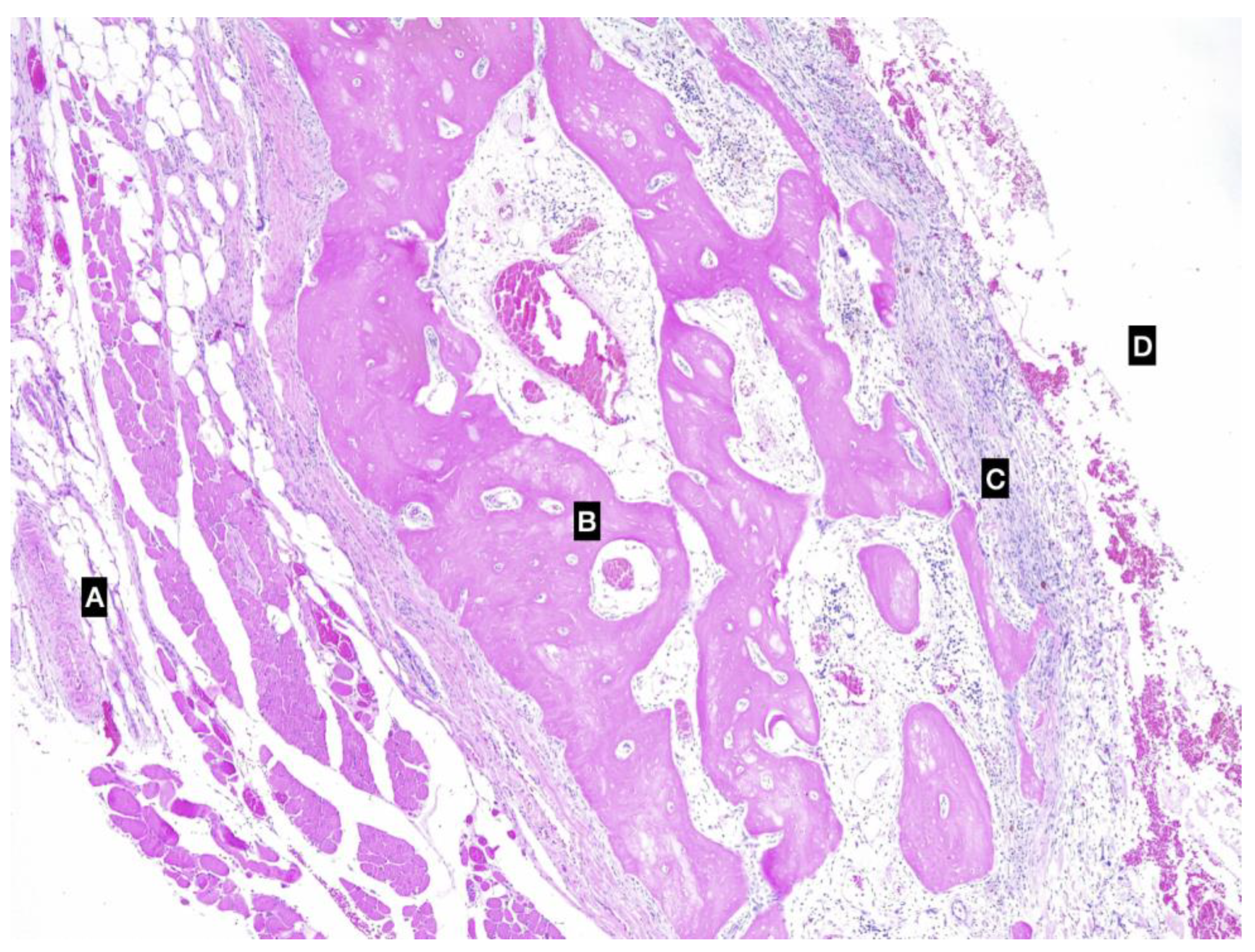 Animals 13 01550 g003