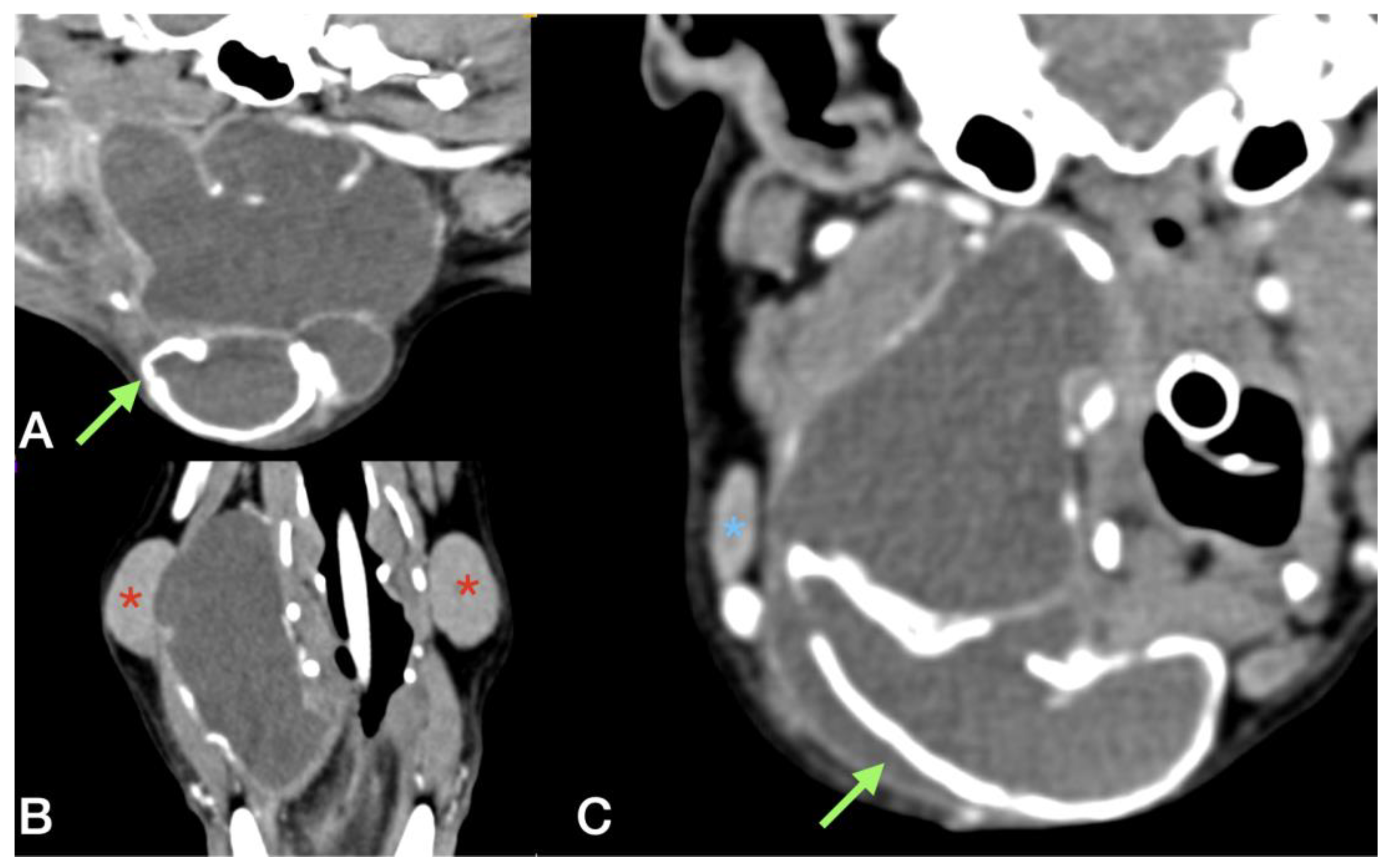 Animals 13 01550 g006
