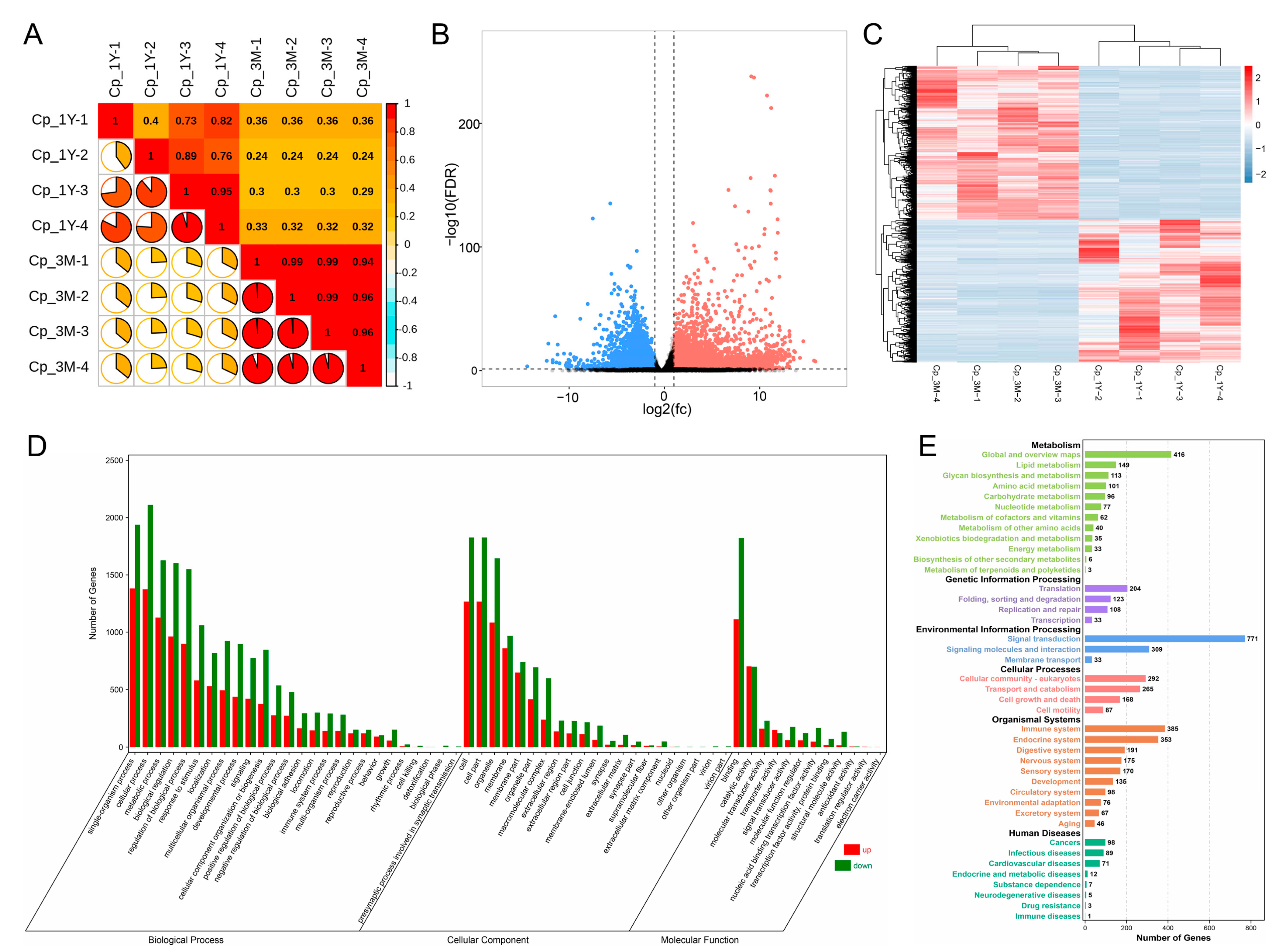Animals 13 01553 g001 Animals 13 01553 g001