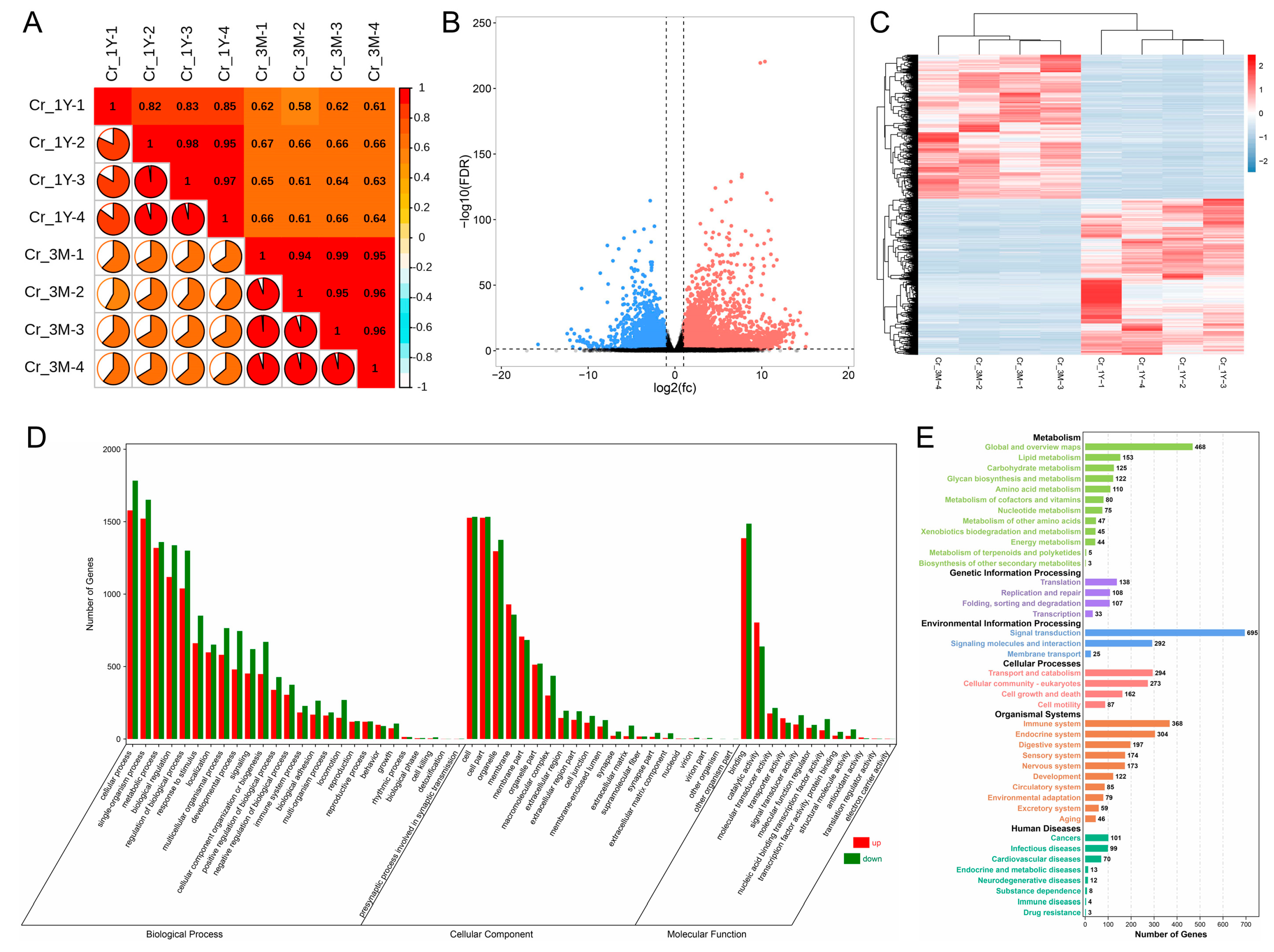 Animals 13 01553 g002 Animals 13 01553 g002