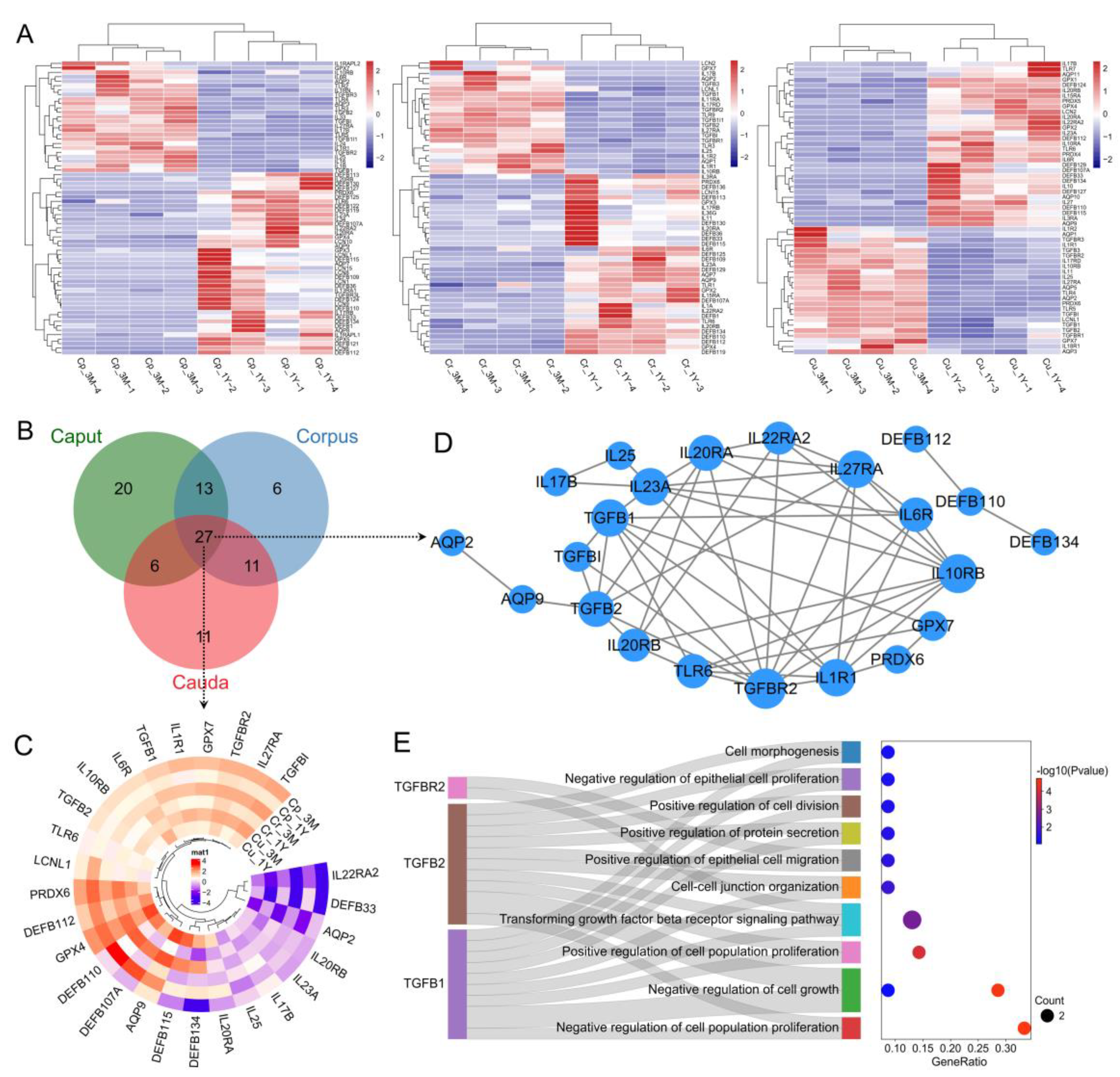 Animals 13 01553 g006 Animals 13 01553 g006