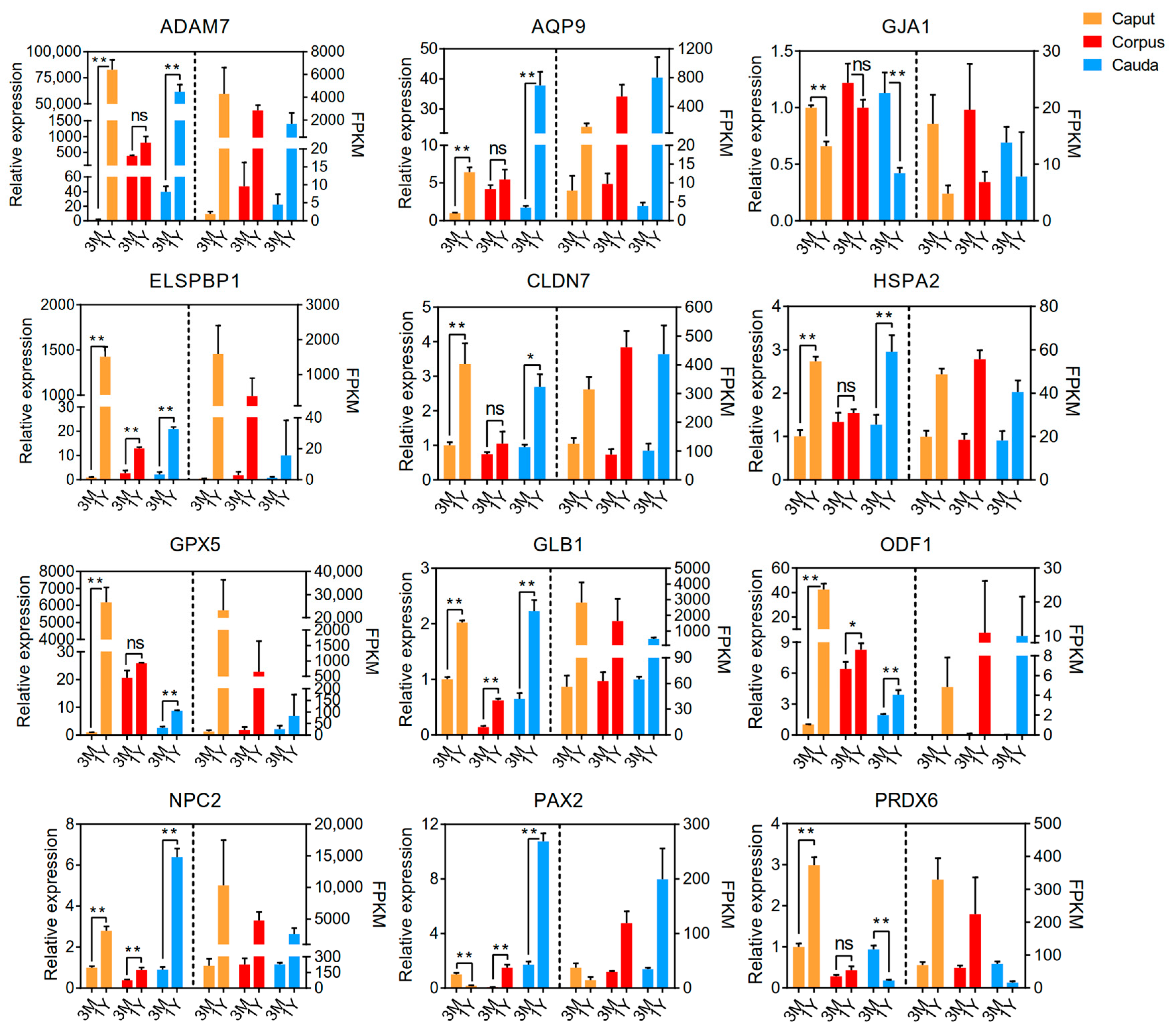 Animals 13 01553 g007 Animals 13 01553 g007