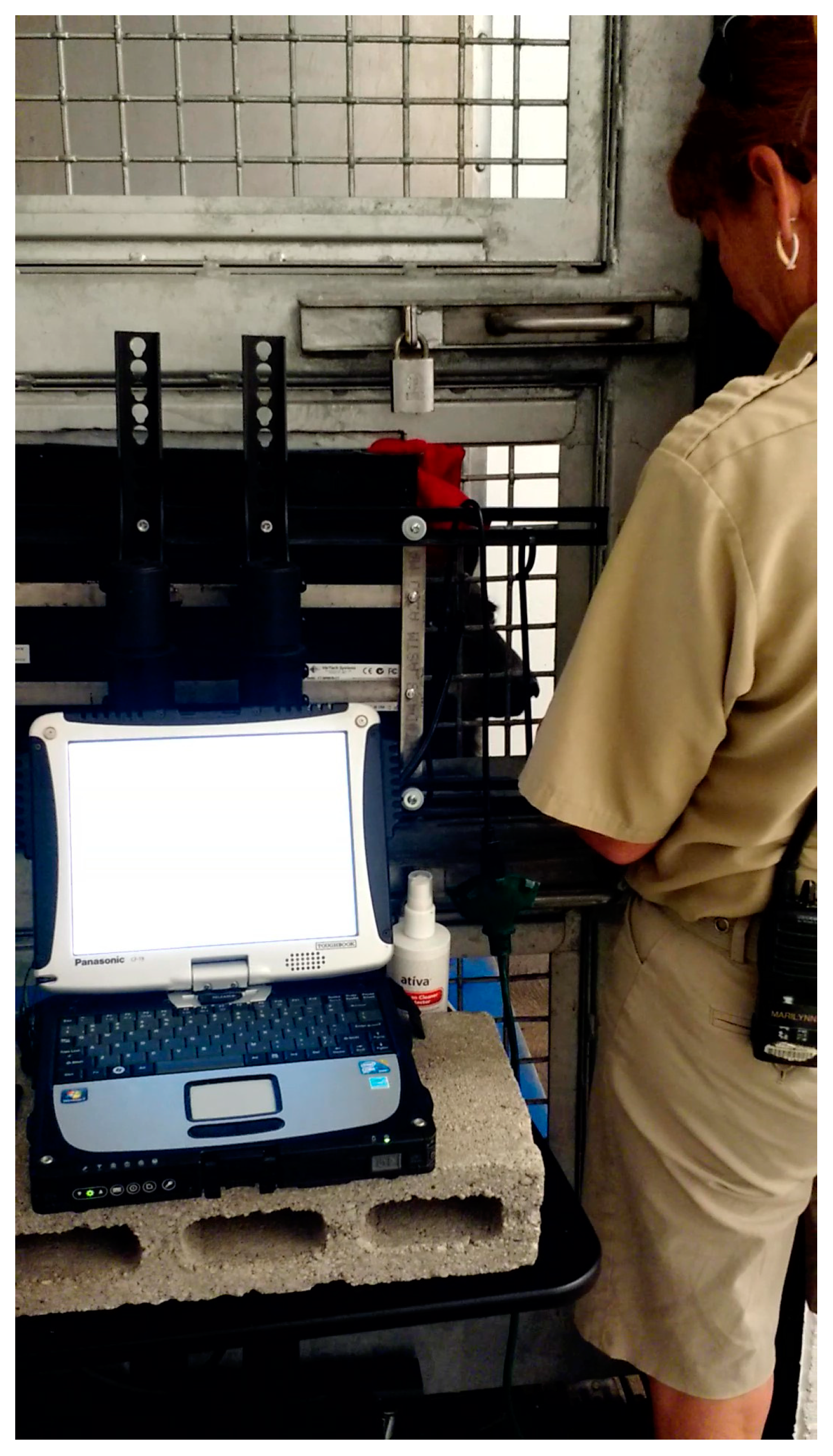 Animals 13 01554 g001