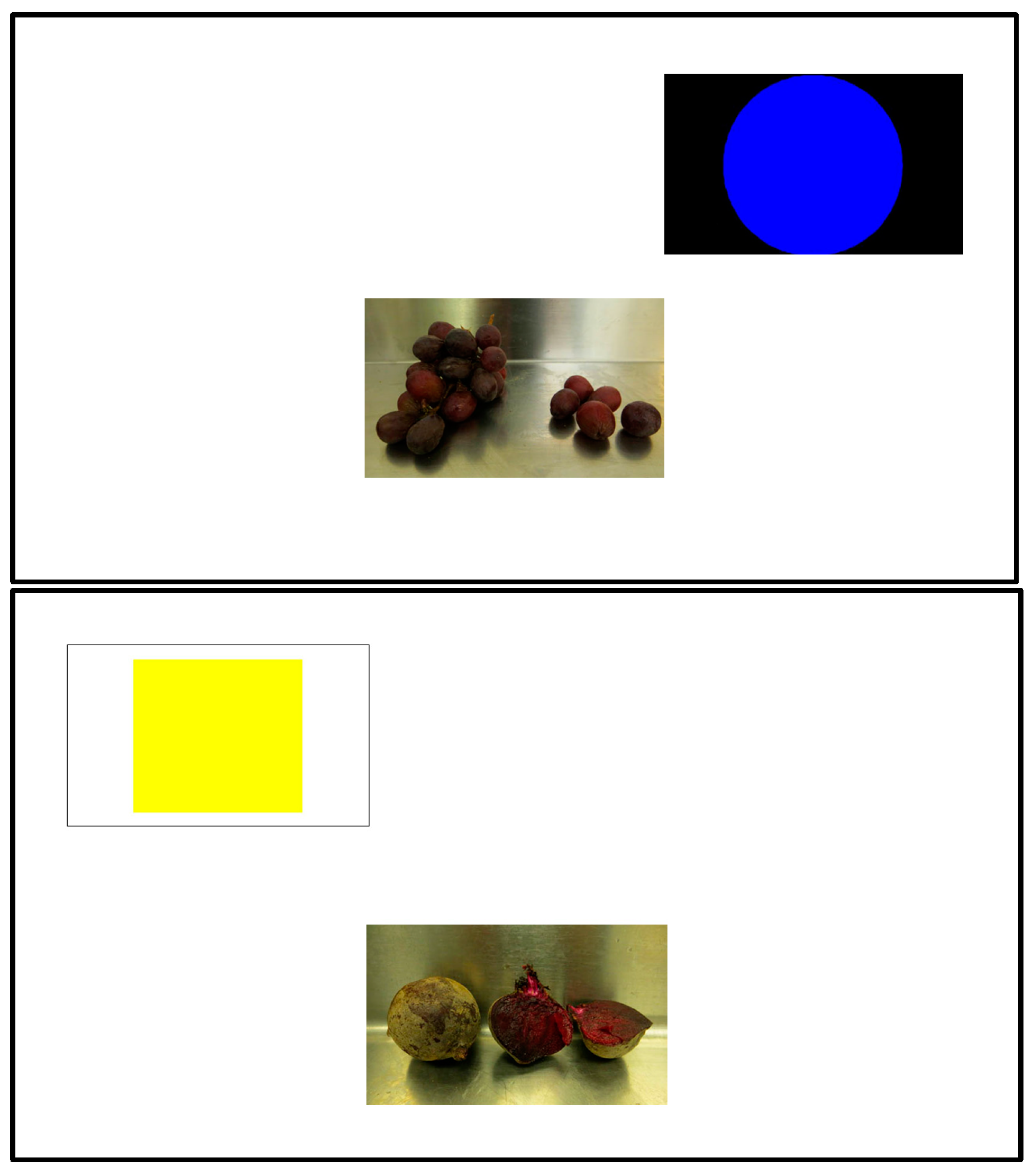 Animals 13 01554 g003