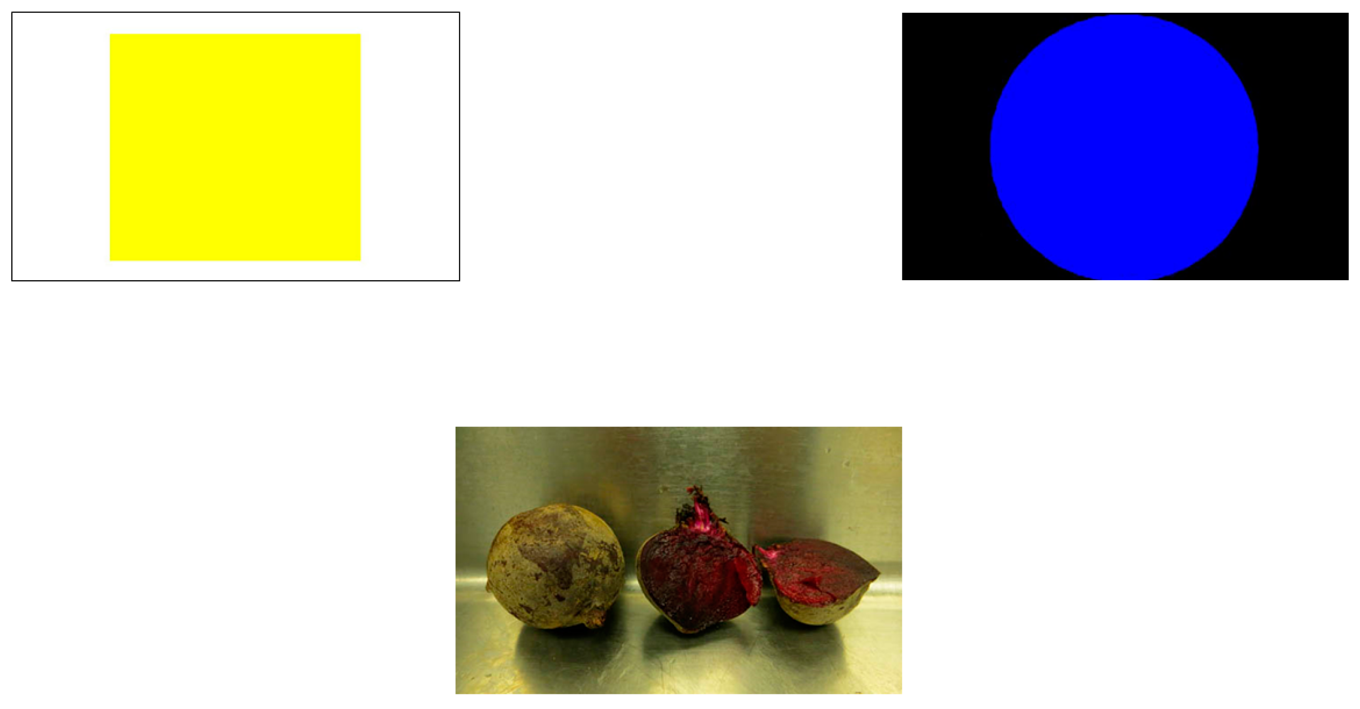 Animals 13 01554 g004