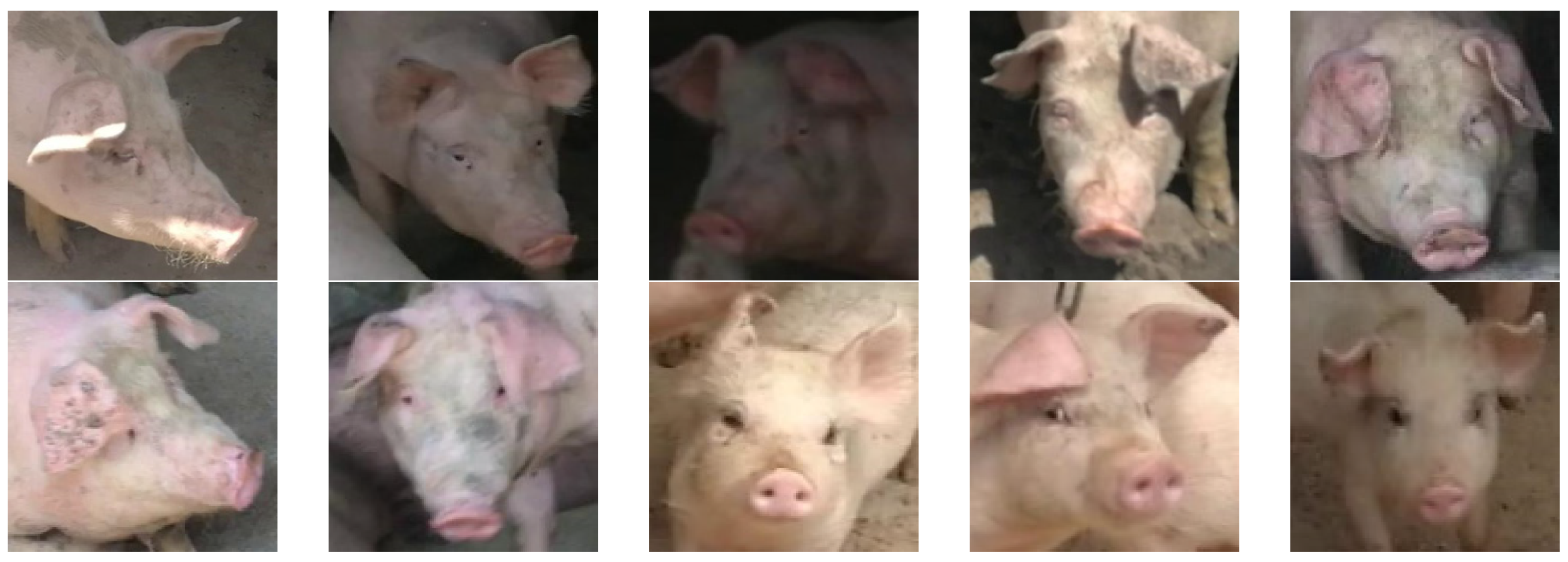 Animals 13 01555 g001 Animals 13 01555 g001