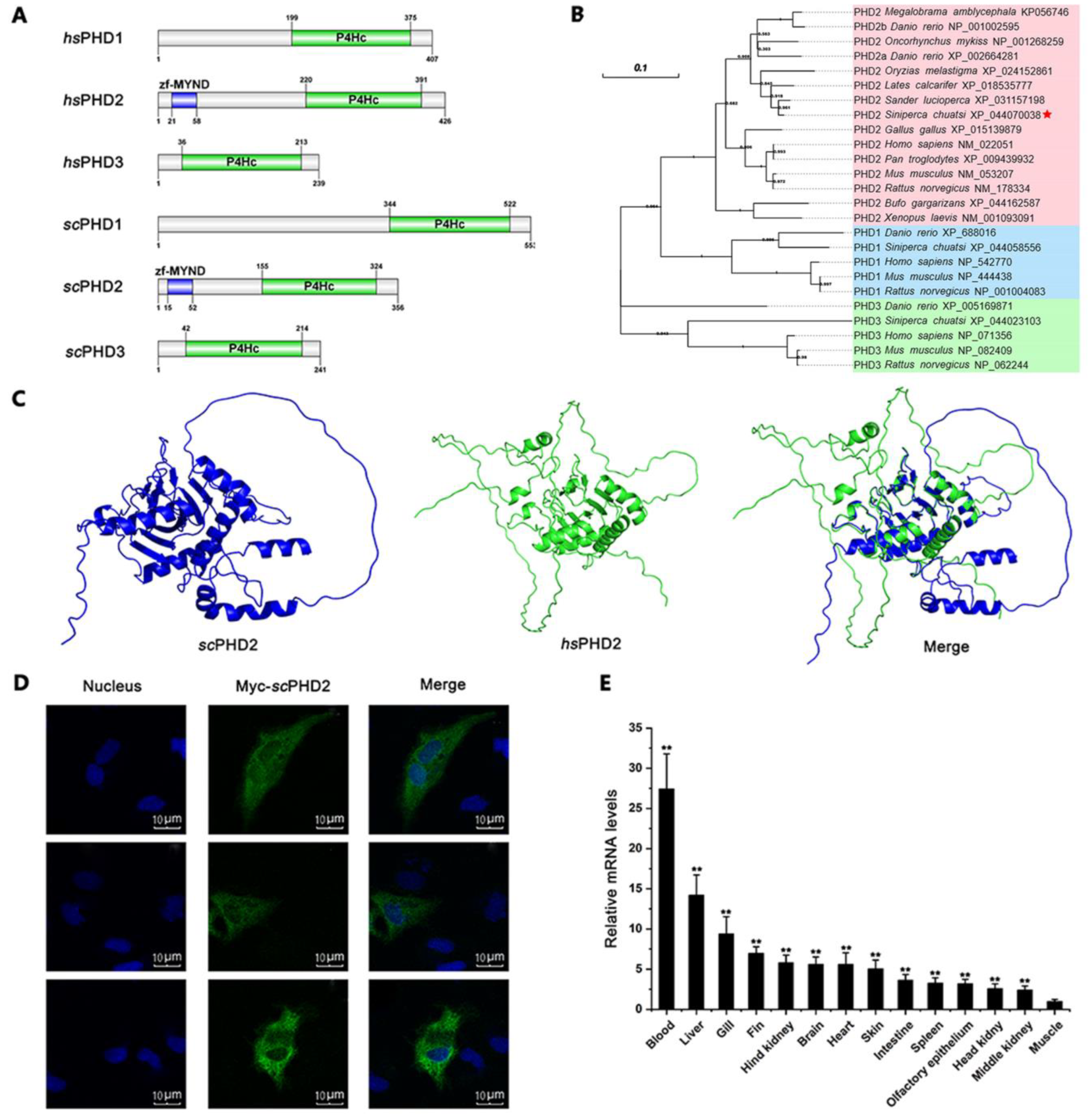 Animals 13 01556 g001 Animals 13 01556 g001