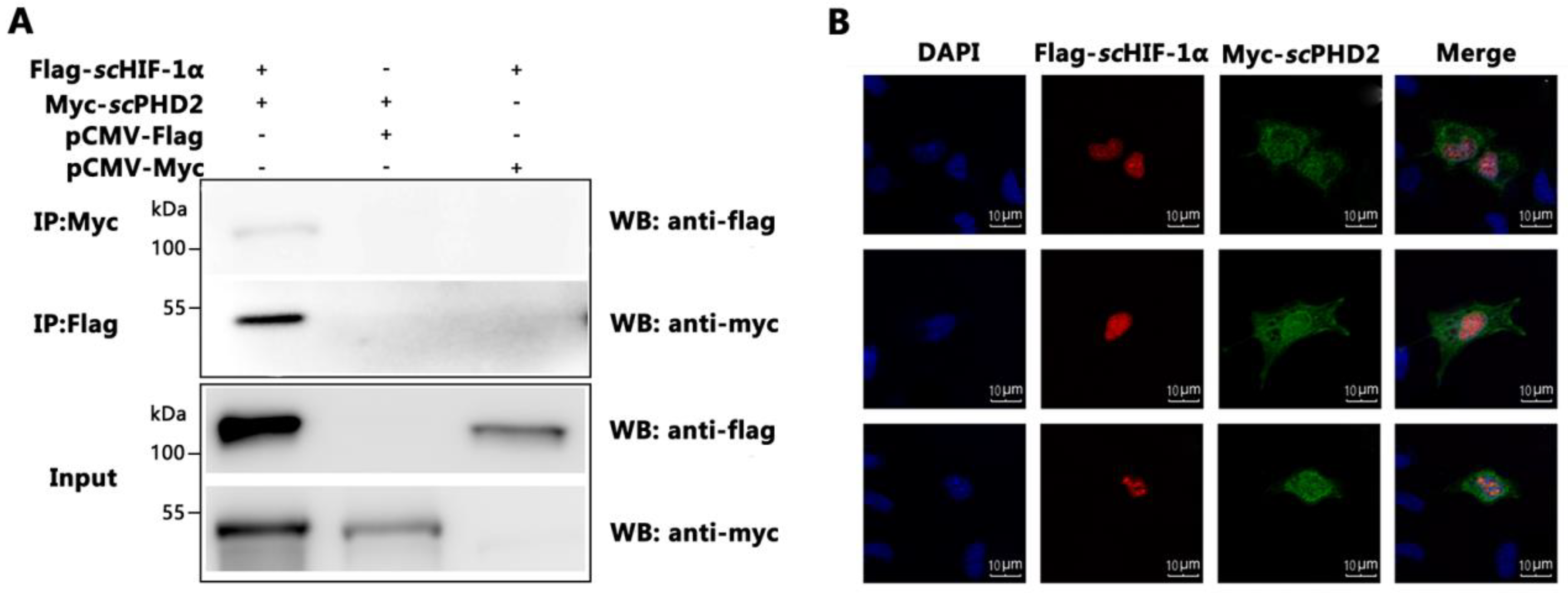 Animals 13 01556 g003 Animals 13 01556 g003