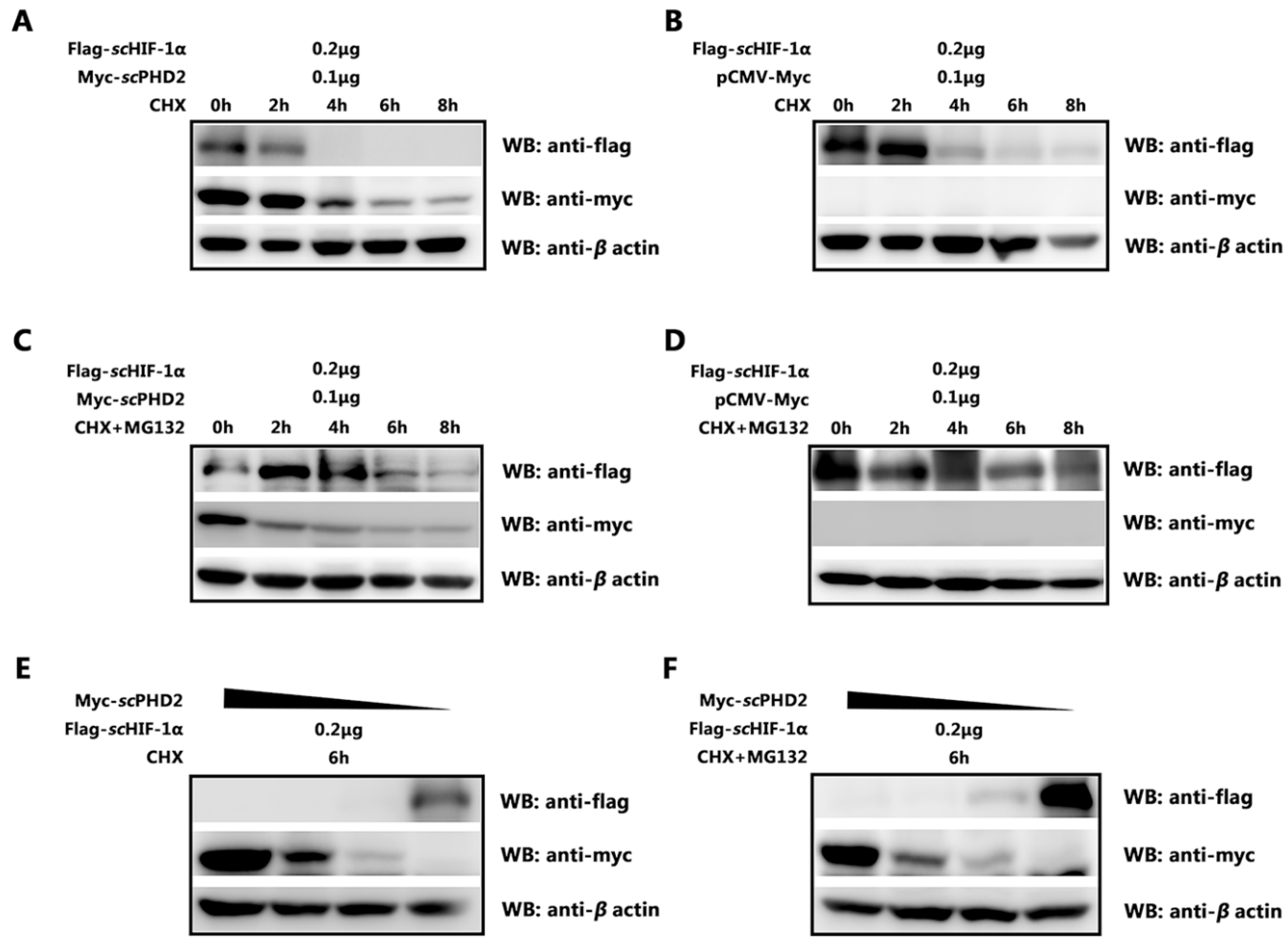 Animals 13 01556 g004 Animals 13 01556 g004