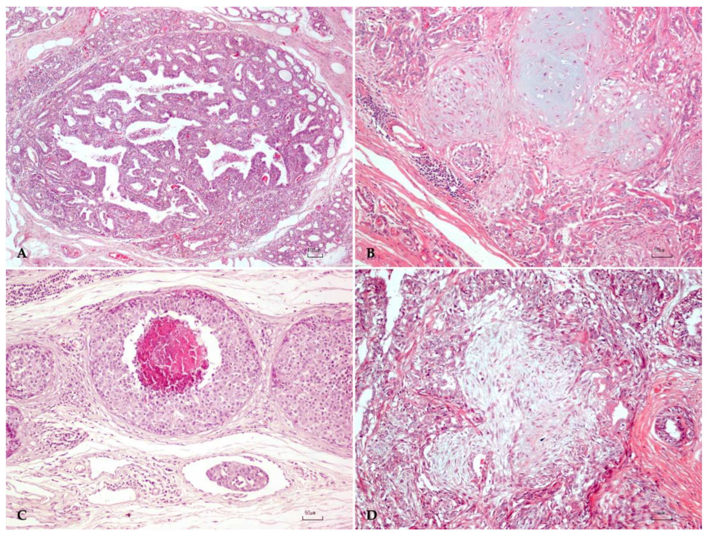 Animals 13 01563 g001