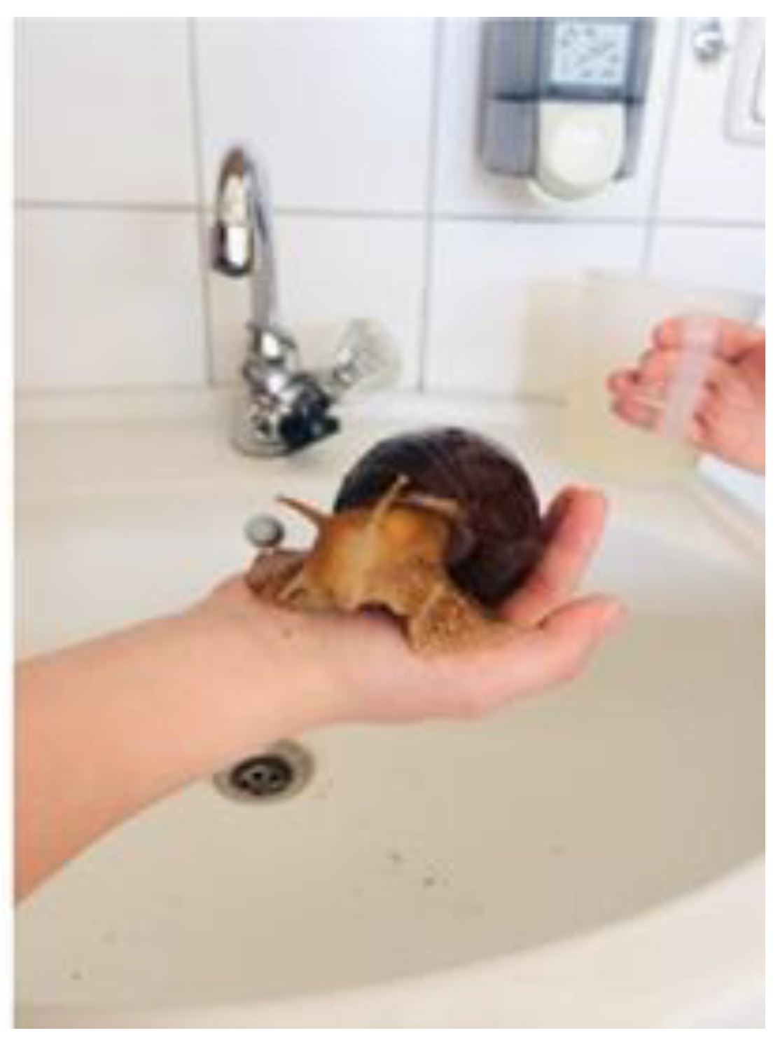 Animals 13 01575 g001