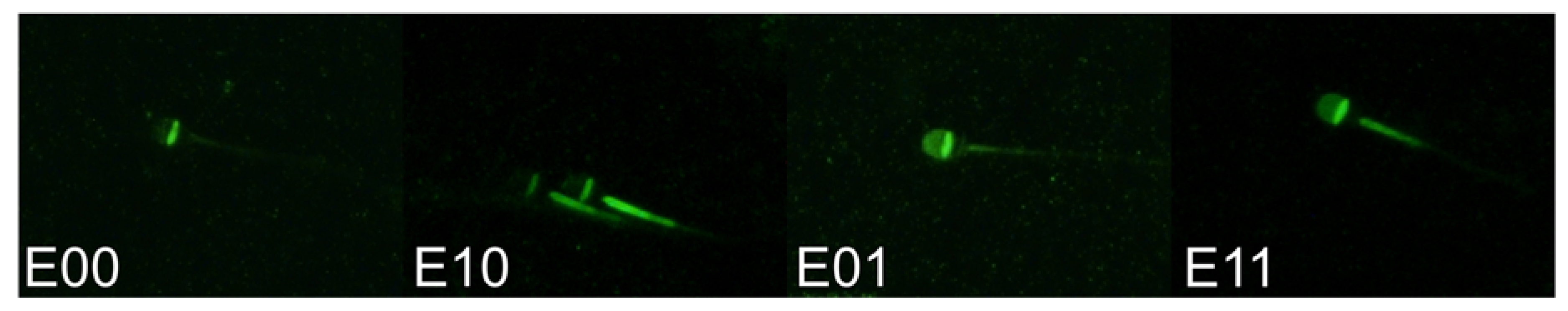 Animals 13 01580 g001