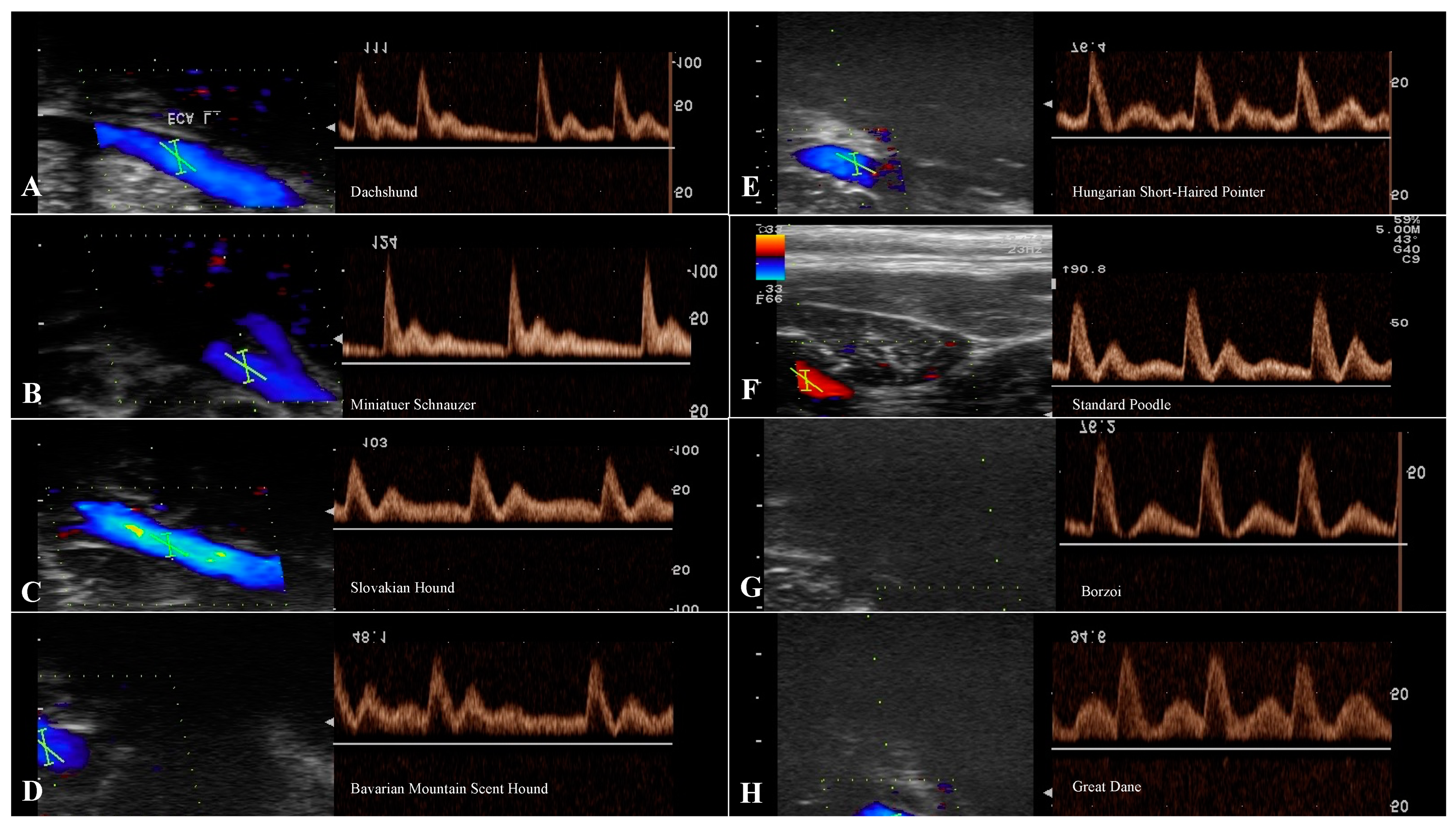 Animals 13 01584 g005 Animals 13 01584 g005