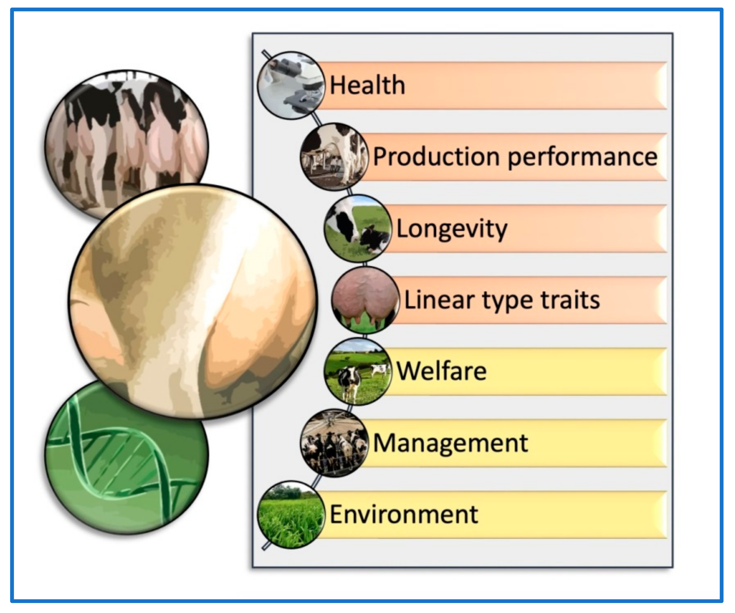 Dairy Cow Chart Ponasa dairy-cow-chart-ponasa