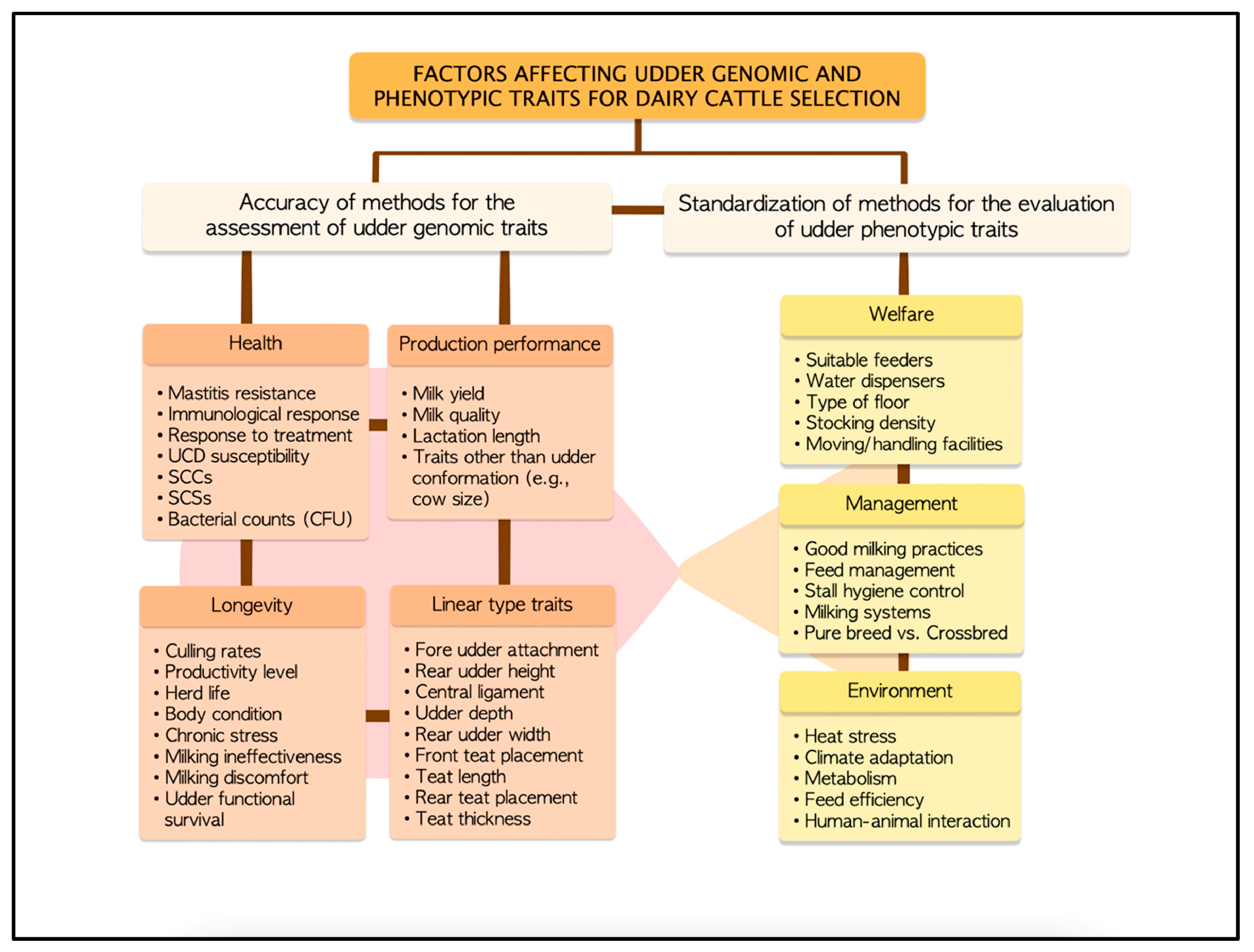 Animals 13 01588 g002 Animals 13 01588 g002