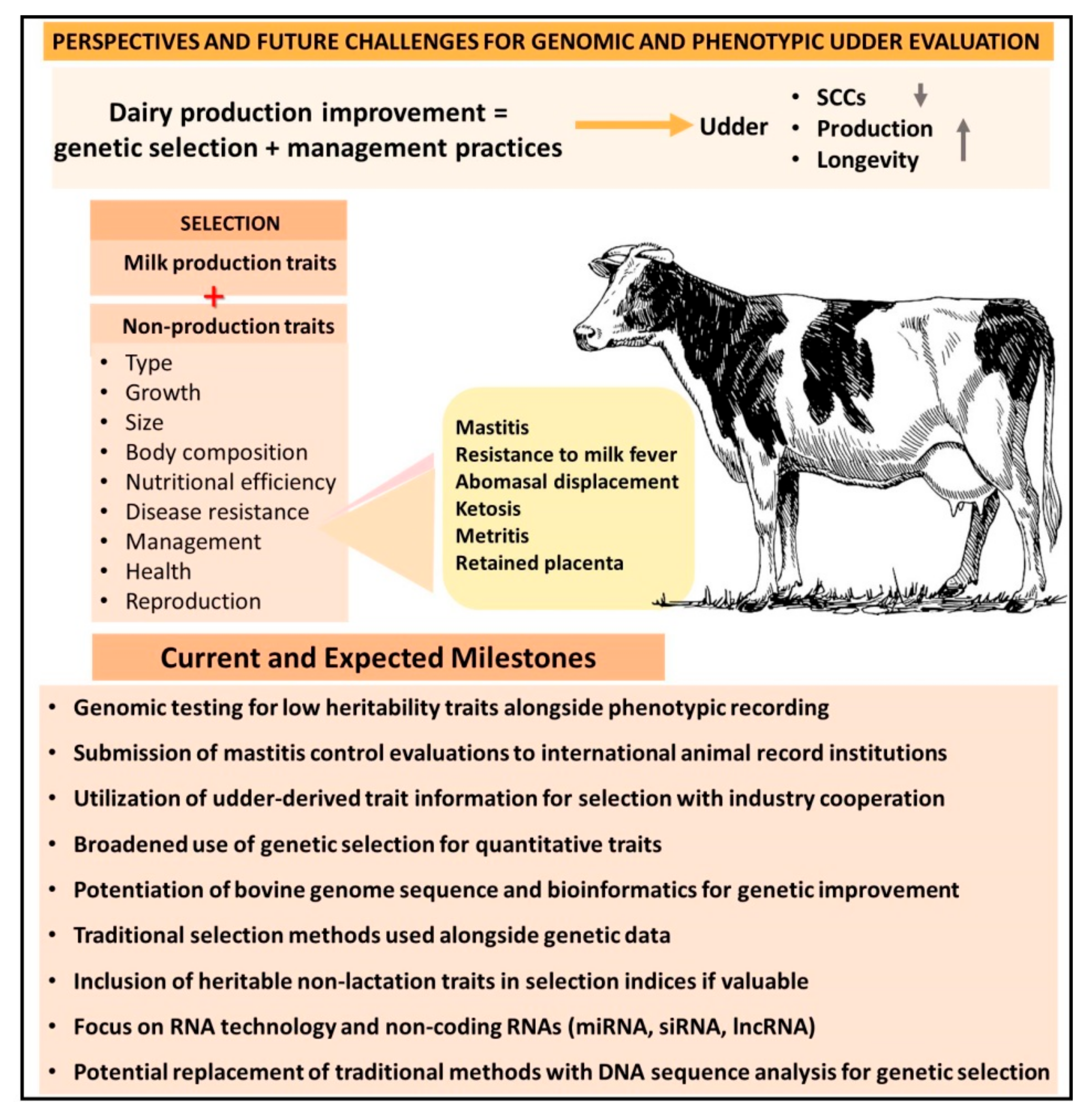 Animals 13 01588 g003 Animals 13 01588 g003