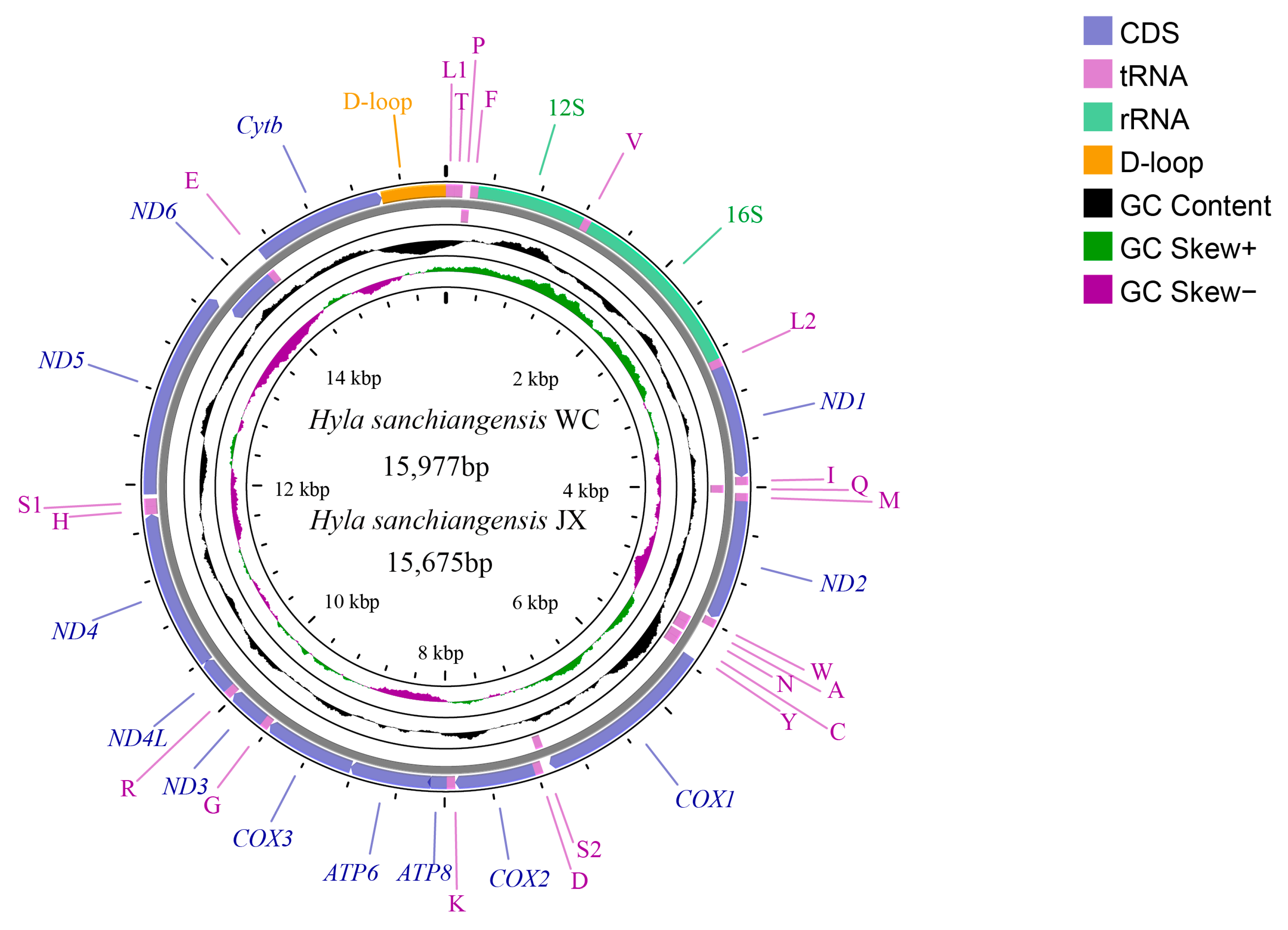 Animals 13 01593 g001 Animals 13 01593 g001