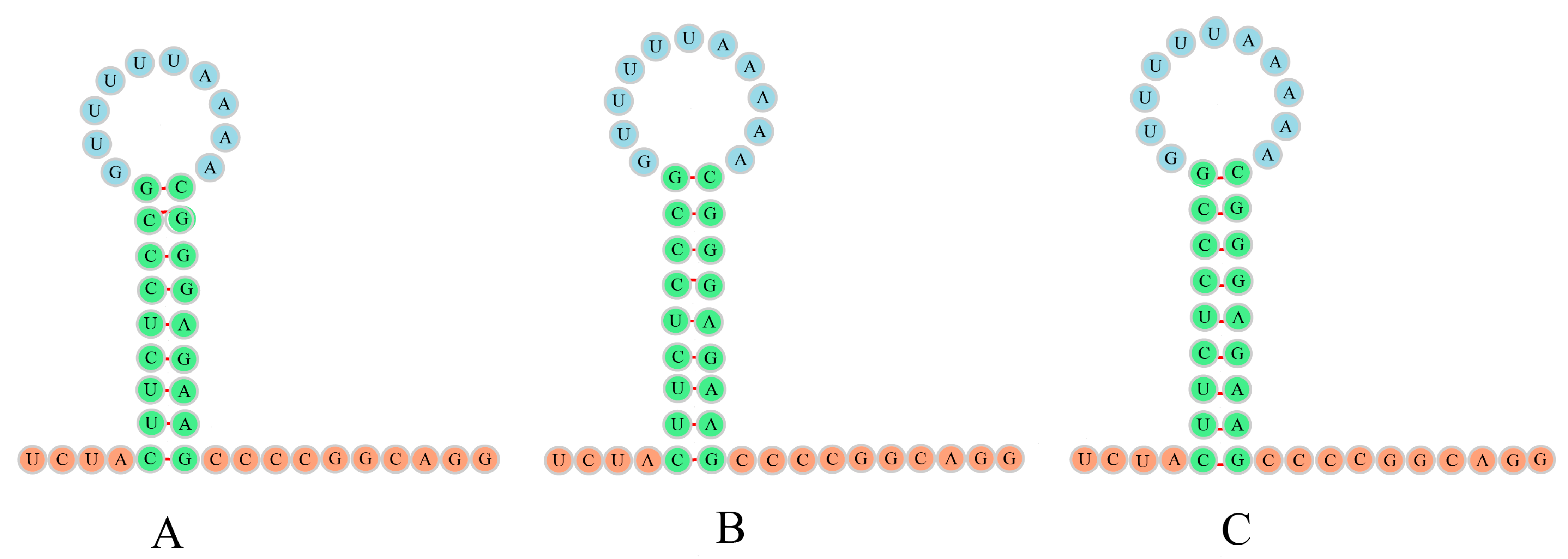 Animals 13 01593 g003 Animals 13 01593 g003