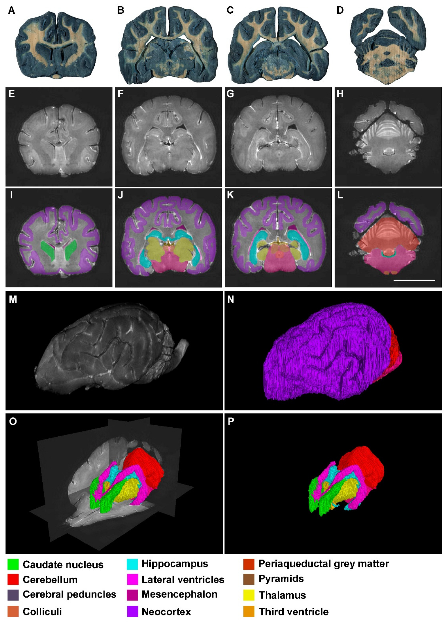 Animals 13 01601 g002 Animals 13 01601 g002