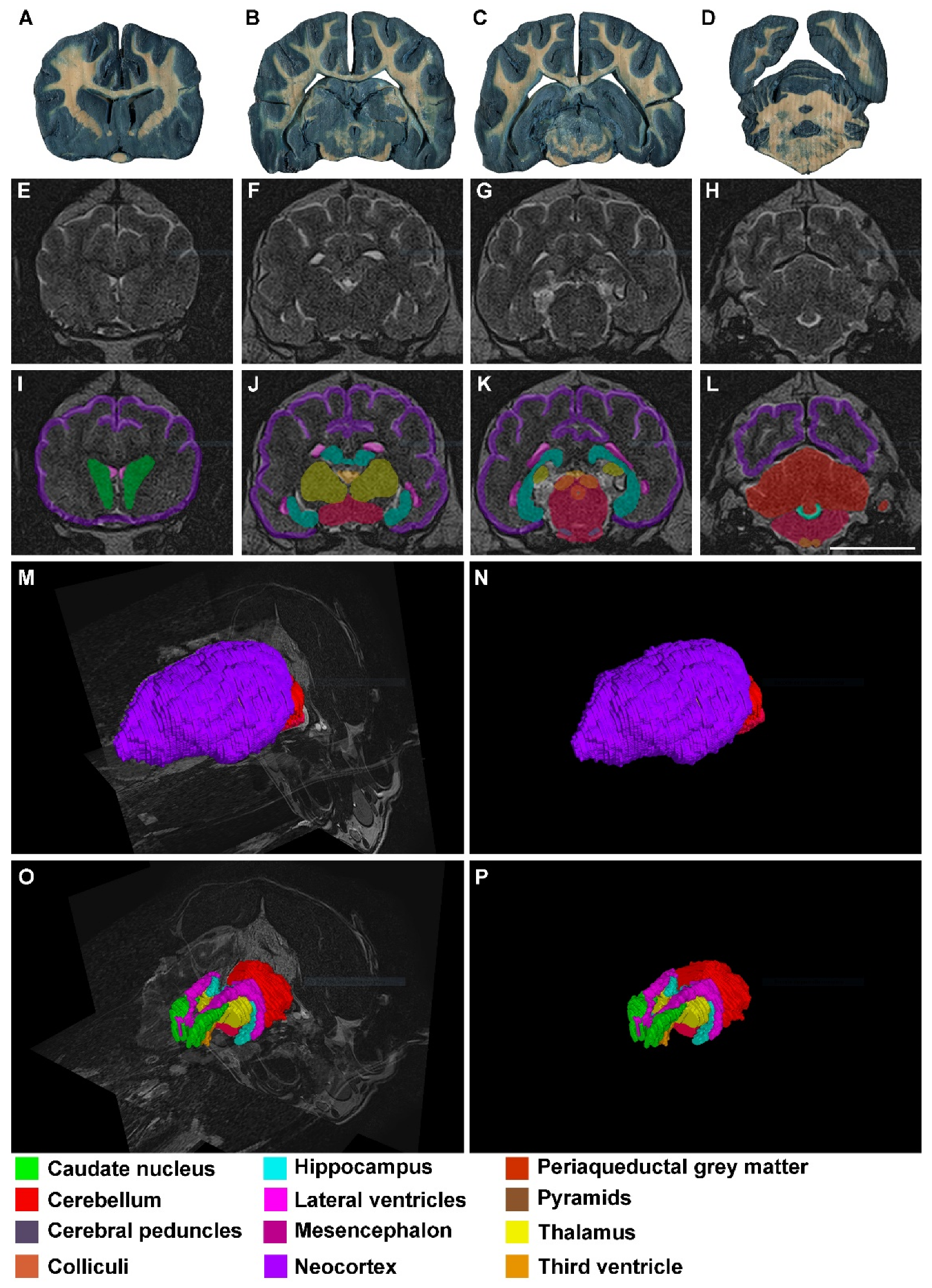 Animals 13 01601 g003 Animals 13 01601 g003