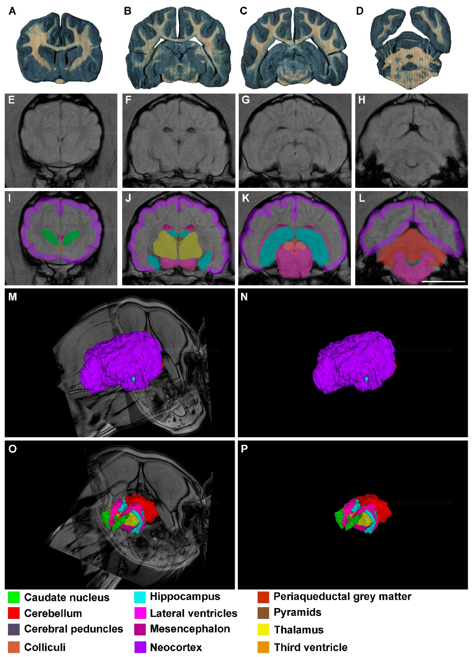 Animals 13 01601 g004 Animals 13 01601 g004