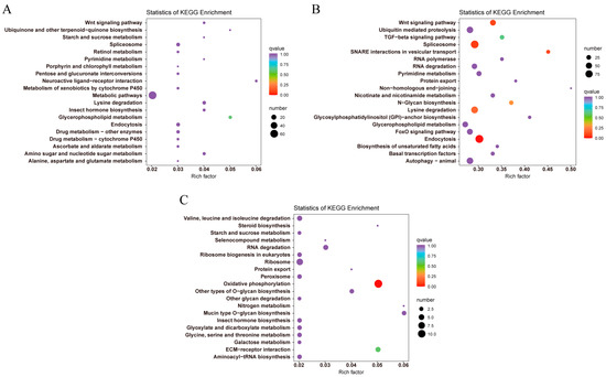 Integrated Transcriptomic and Metabolomic Analyses Reveal