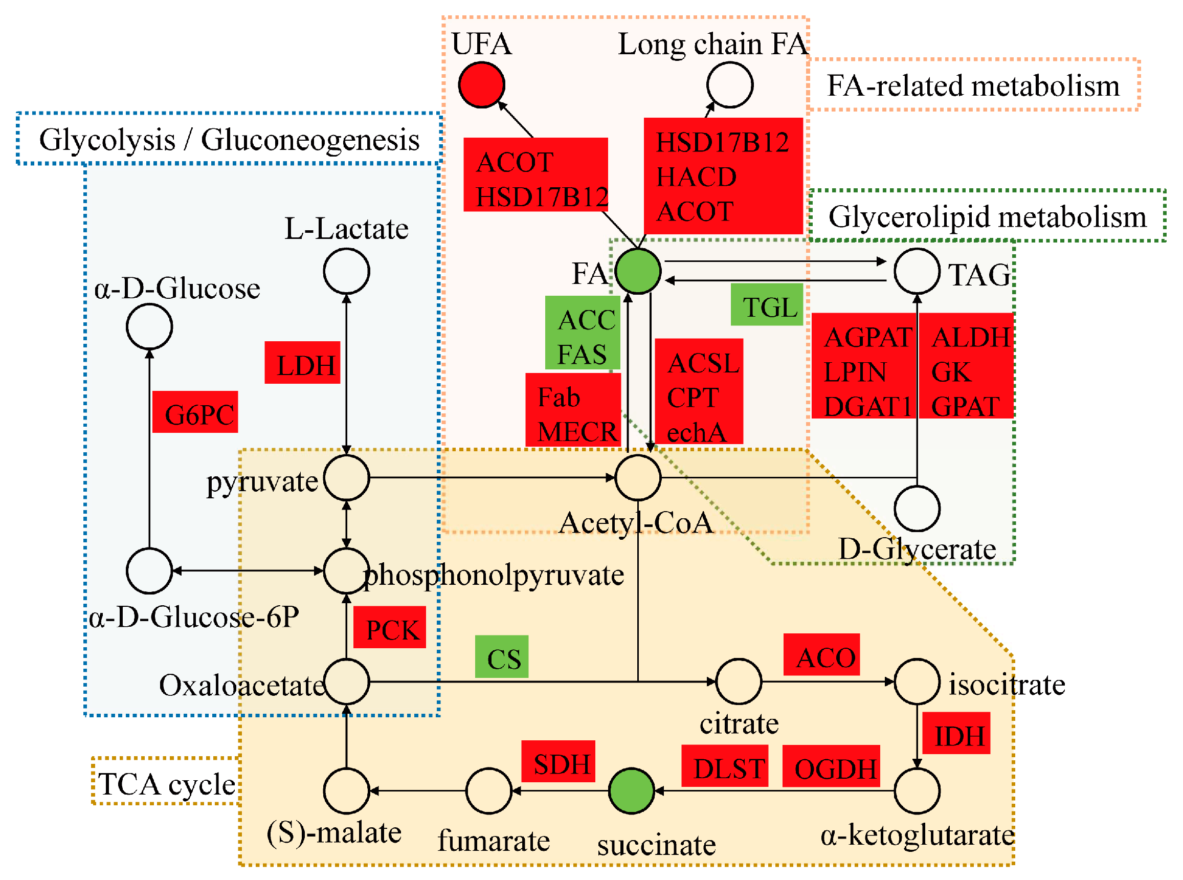 Structure & Function of the Body, 14th Edition