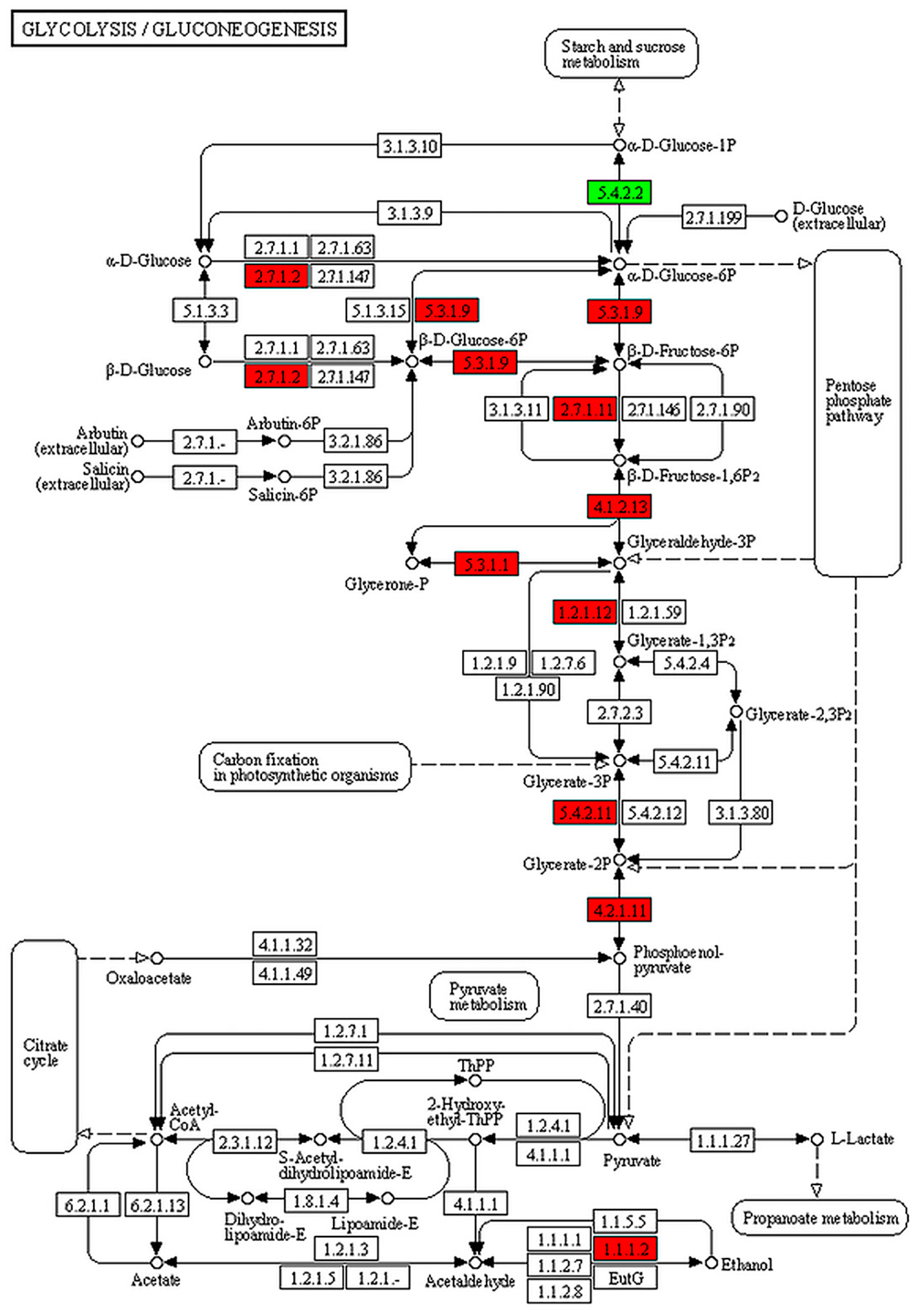 Animals 13 01608 g006 Animals 13 01608 g006