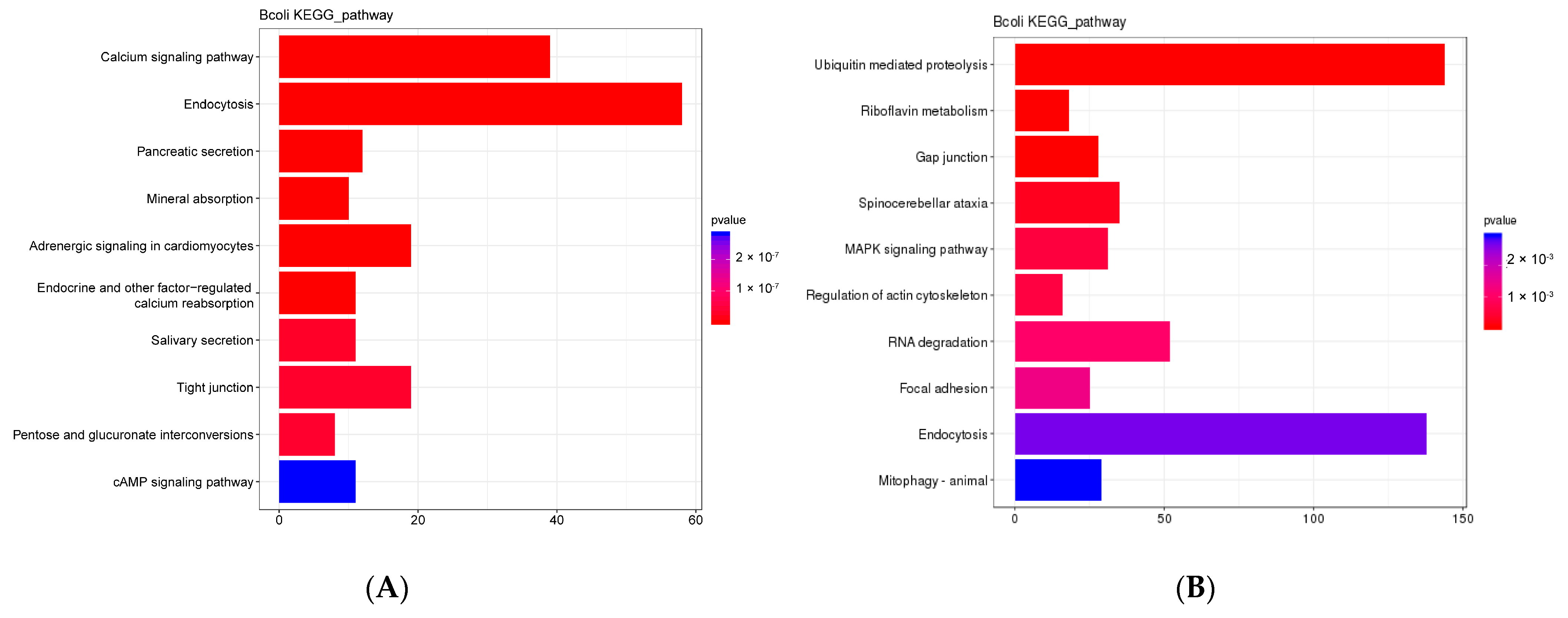 Animals 13 01608 g008 Animals 13 01608 g008