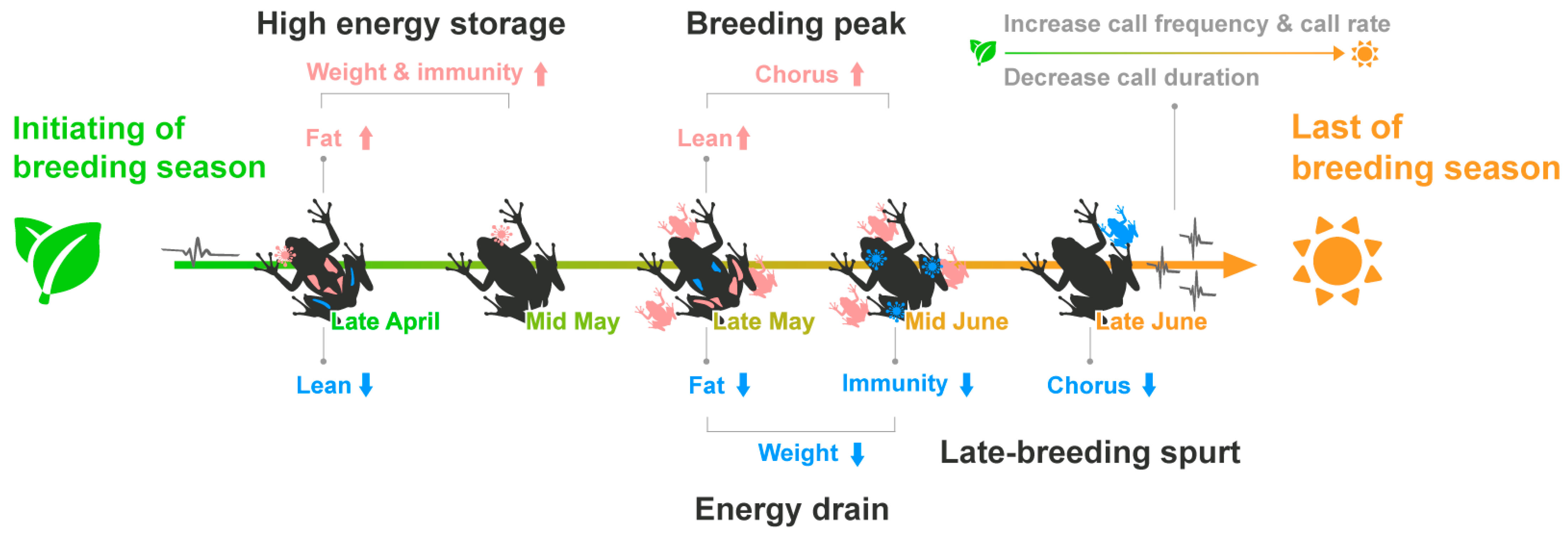 Animals 13 01612 g007