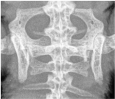 Animals 13 01613 i004