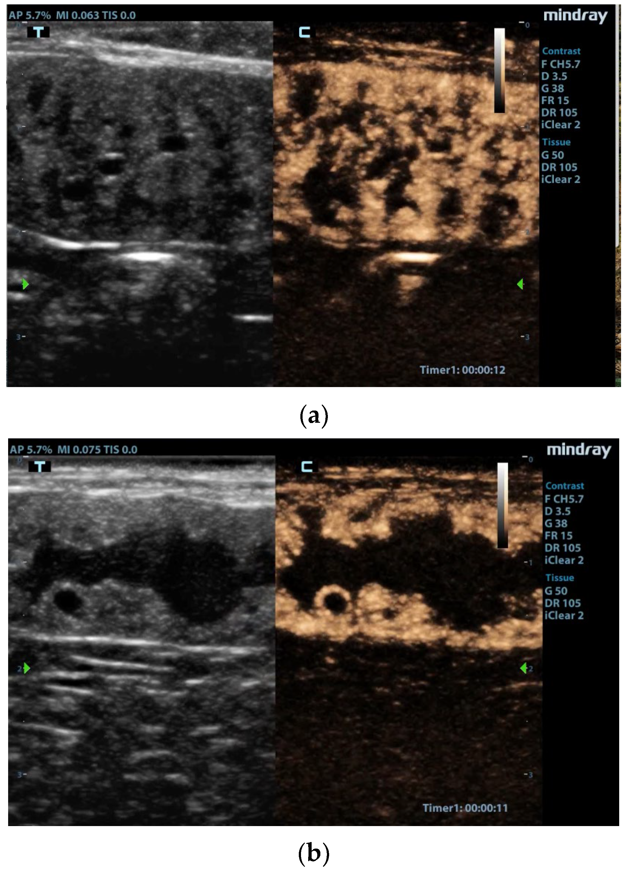 Animals 13 01615 g001