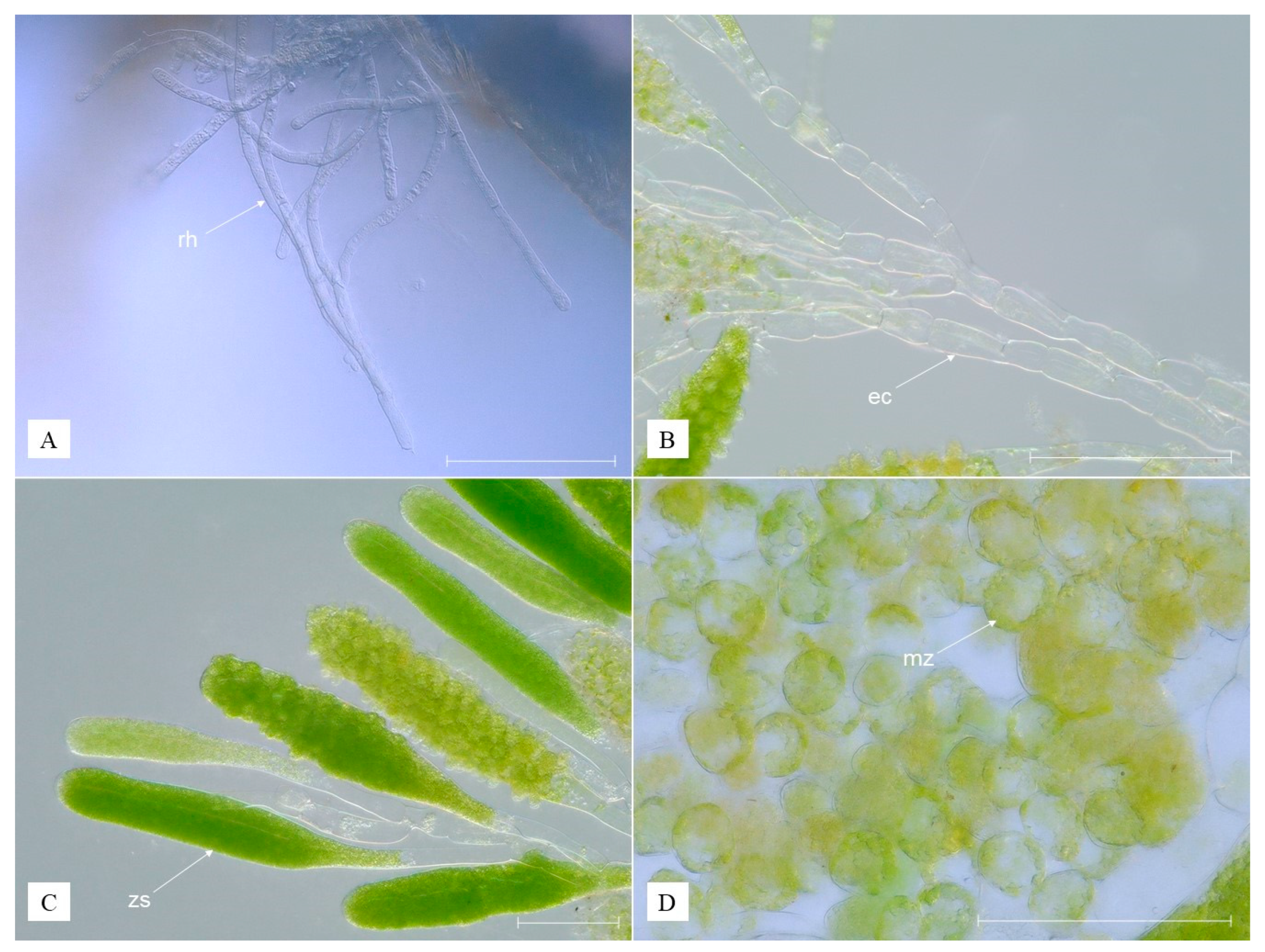 Animals 13 01616 g002