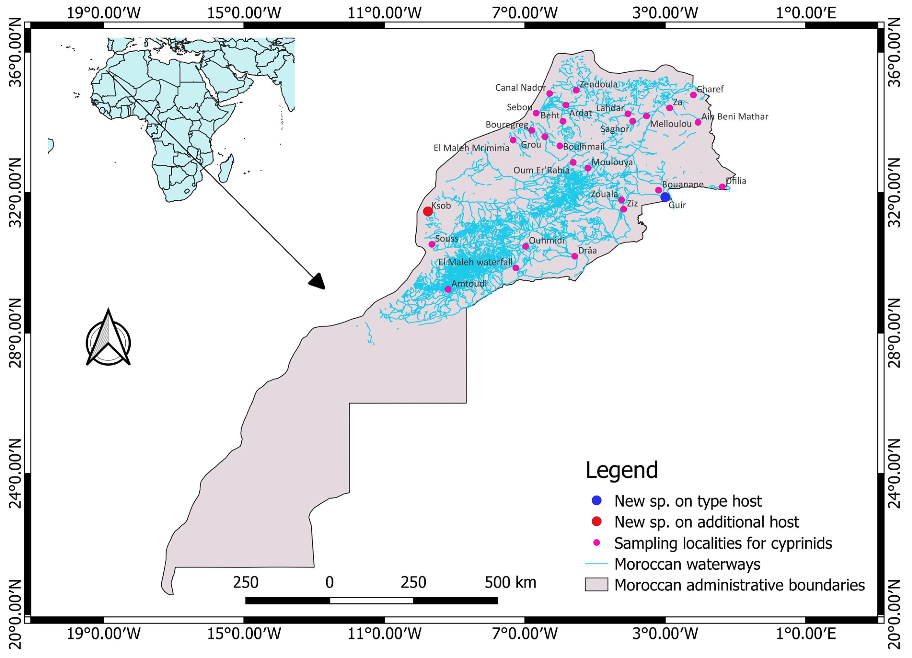 Animals 13 01624 g001 Animals 13 01624 g001