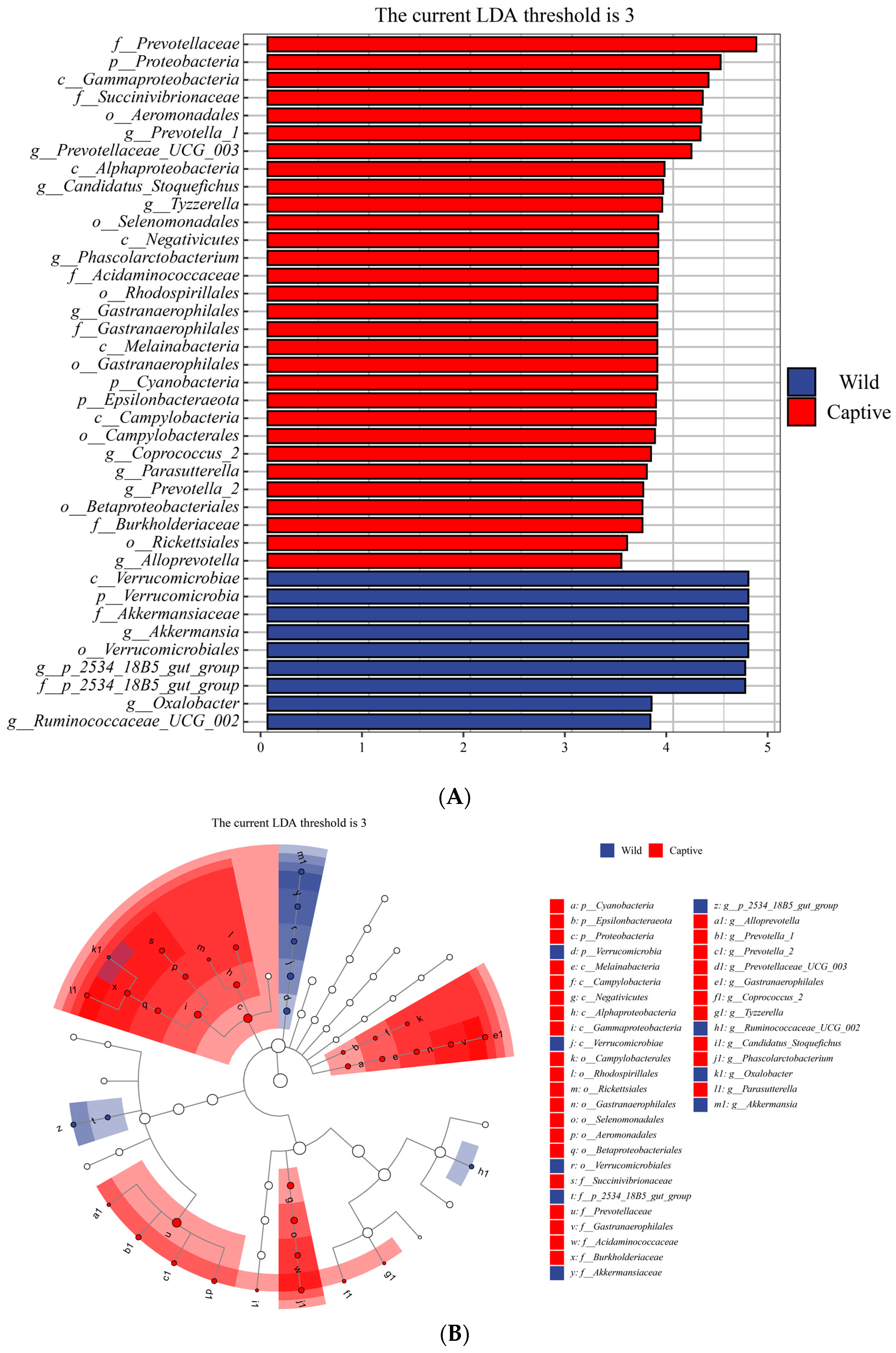 Animals 13 01625 g005 Animals 13 01625 g005
