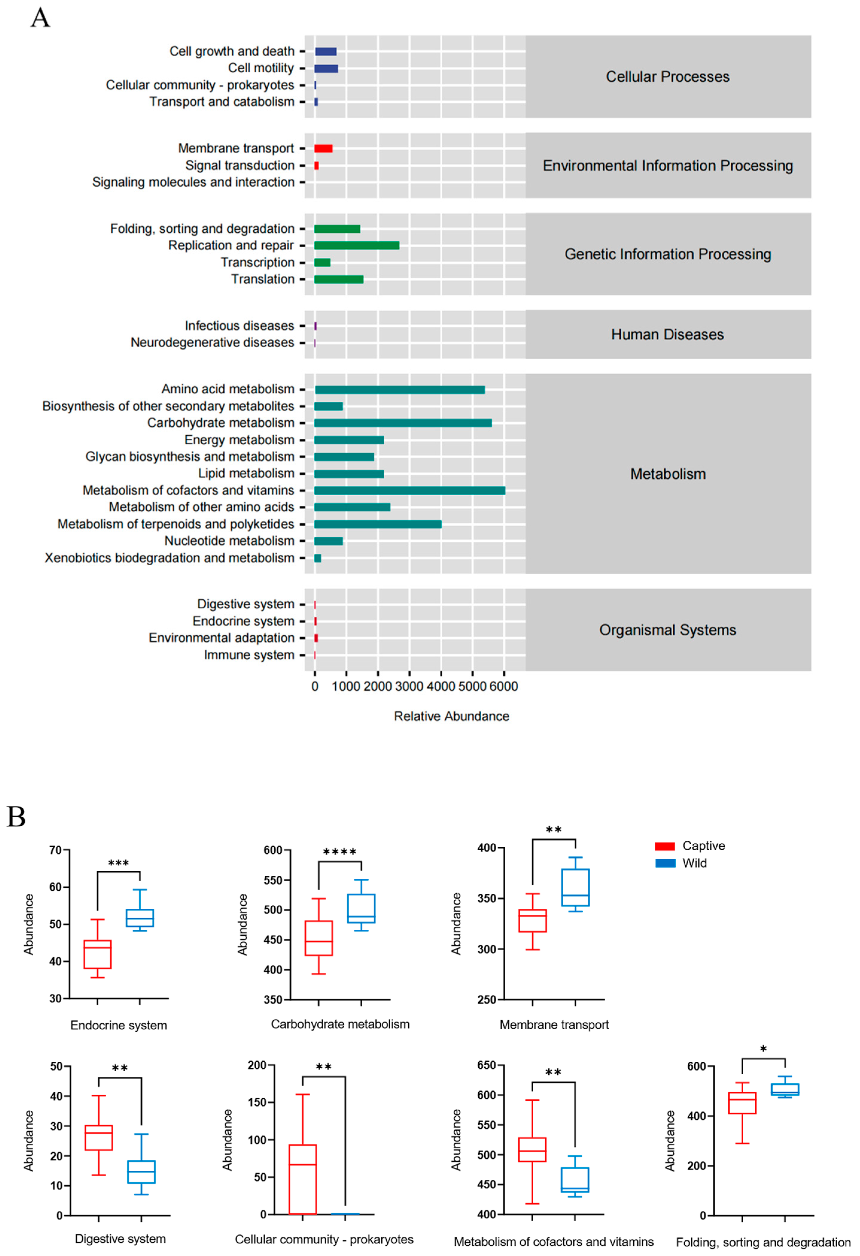 Animals 13 01625 g006 Animals 13 01625 g006