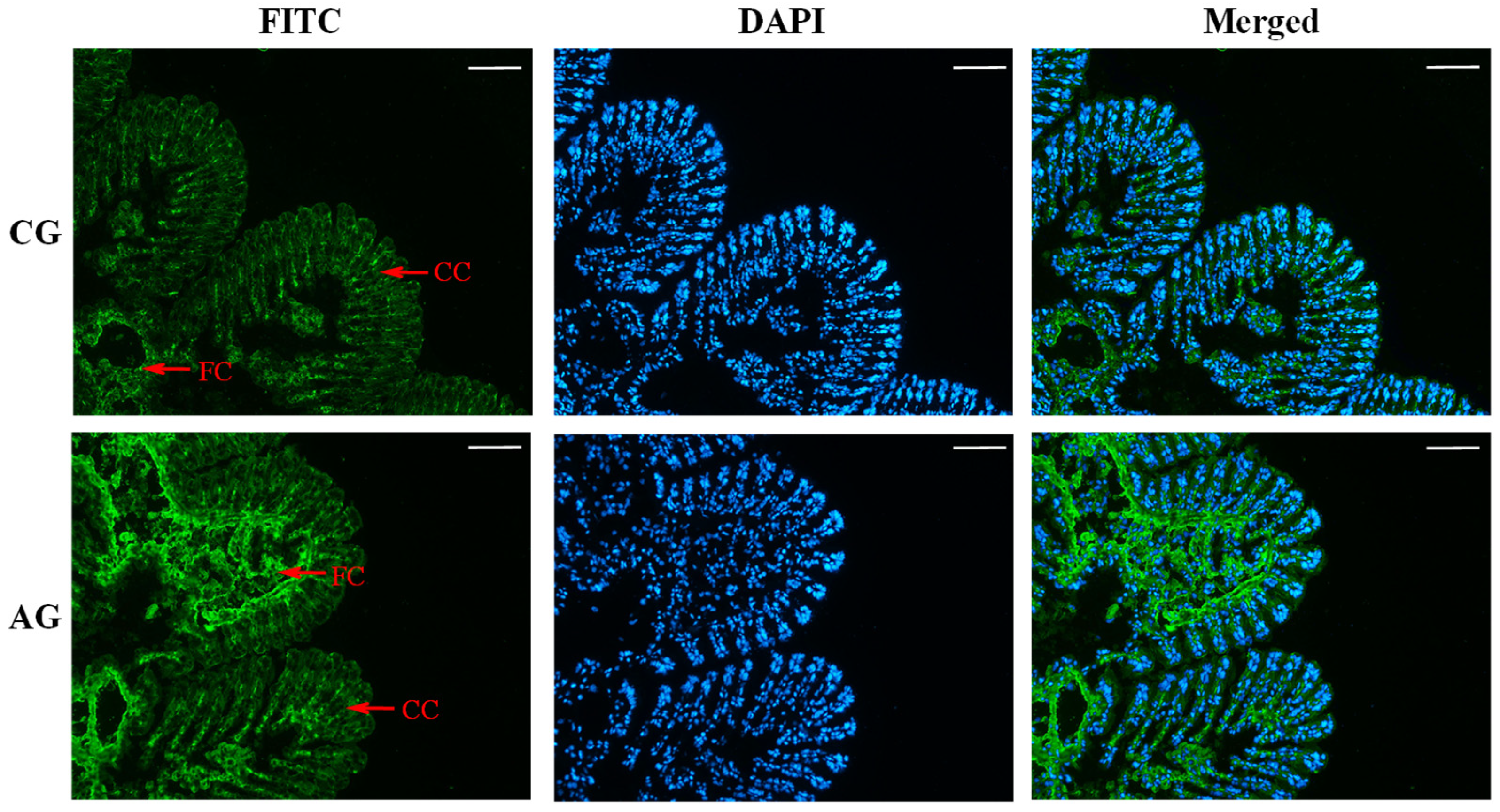 Animals 13 01638 g003 Animals 13 01638 g003