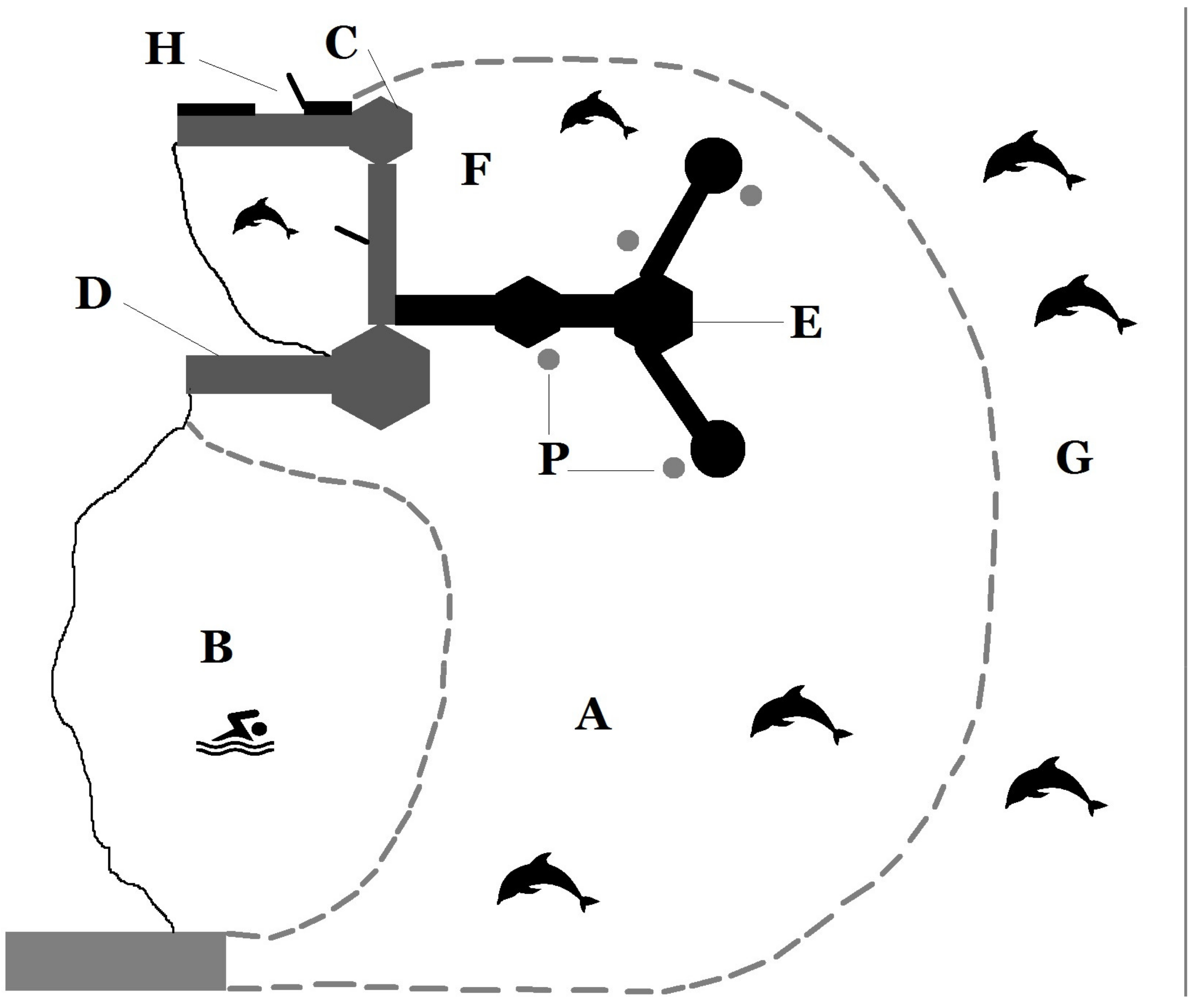 Animals 13 01651 g001
