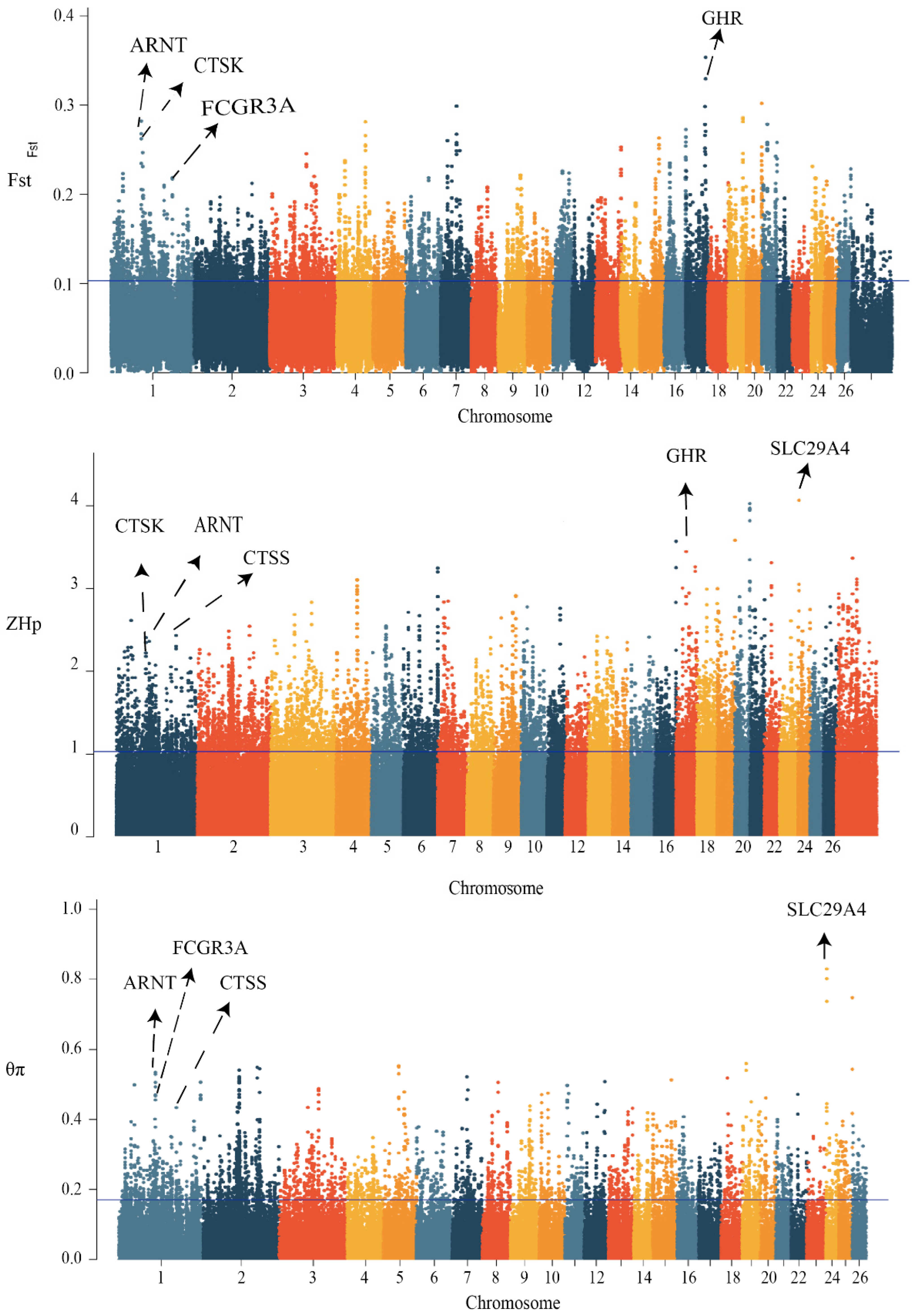 Animals 13 01654 g002